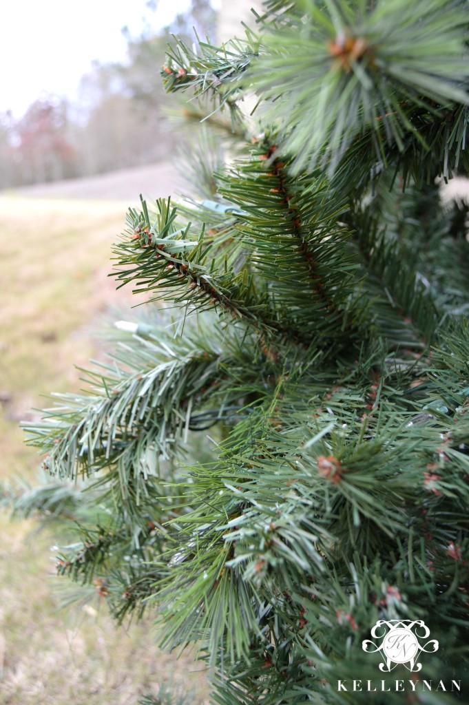 Christmas Tree- Before Flock