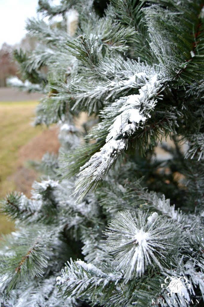 Snow Flock on Tree Branch