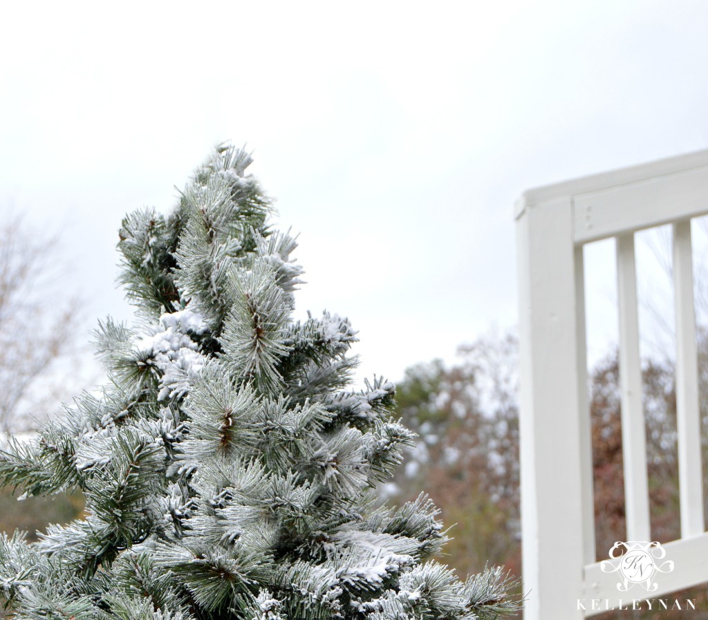 Flocked top of Christmas Tree