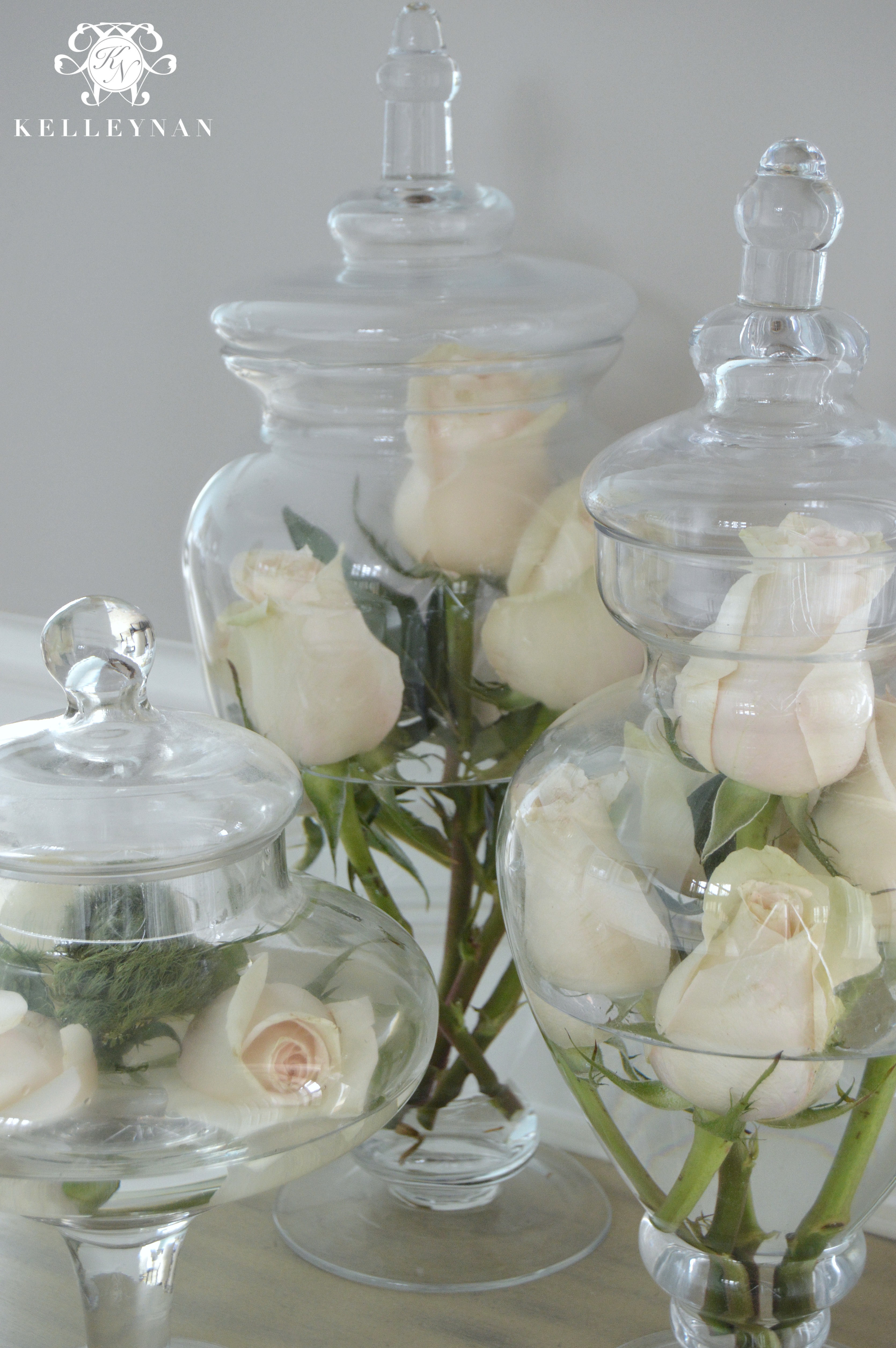 16 Ways to Style Apothecary Jars - Kelley Nan
