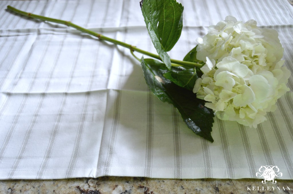 White Hydrangea Creating a Flower Arrangement