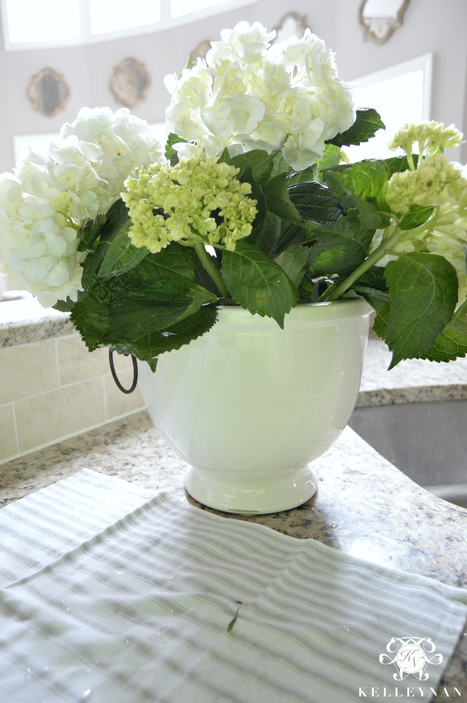 Hydrangeas in Ice Bucket