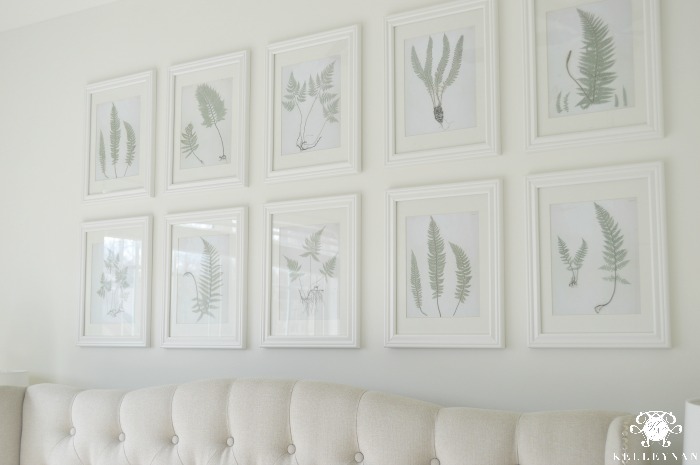 Easy Botanical Fern Gallery Wall How To