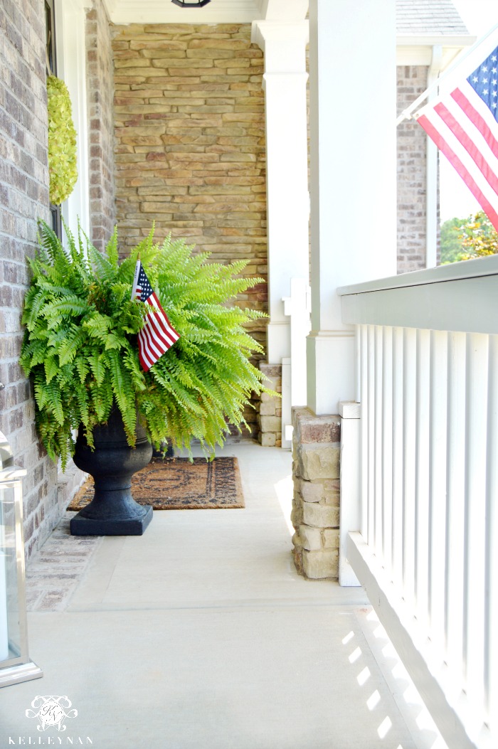 Ferns with American Flags