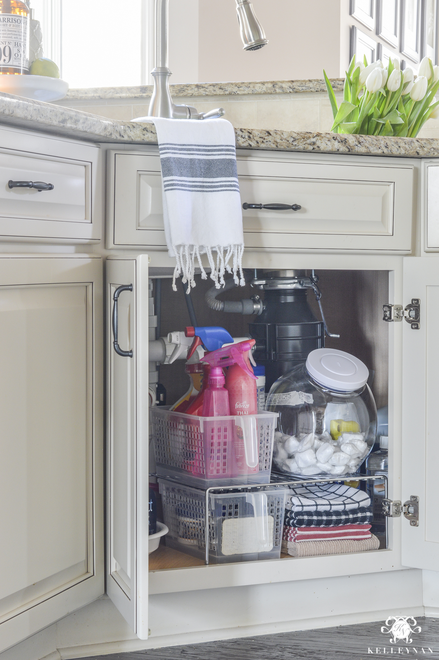 Organization Ideas for the Entire Kitchen (Every Nook & Cranny from the  Pantry to Under the Sink) - Kelley Nan