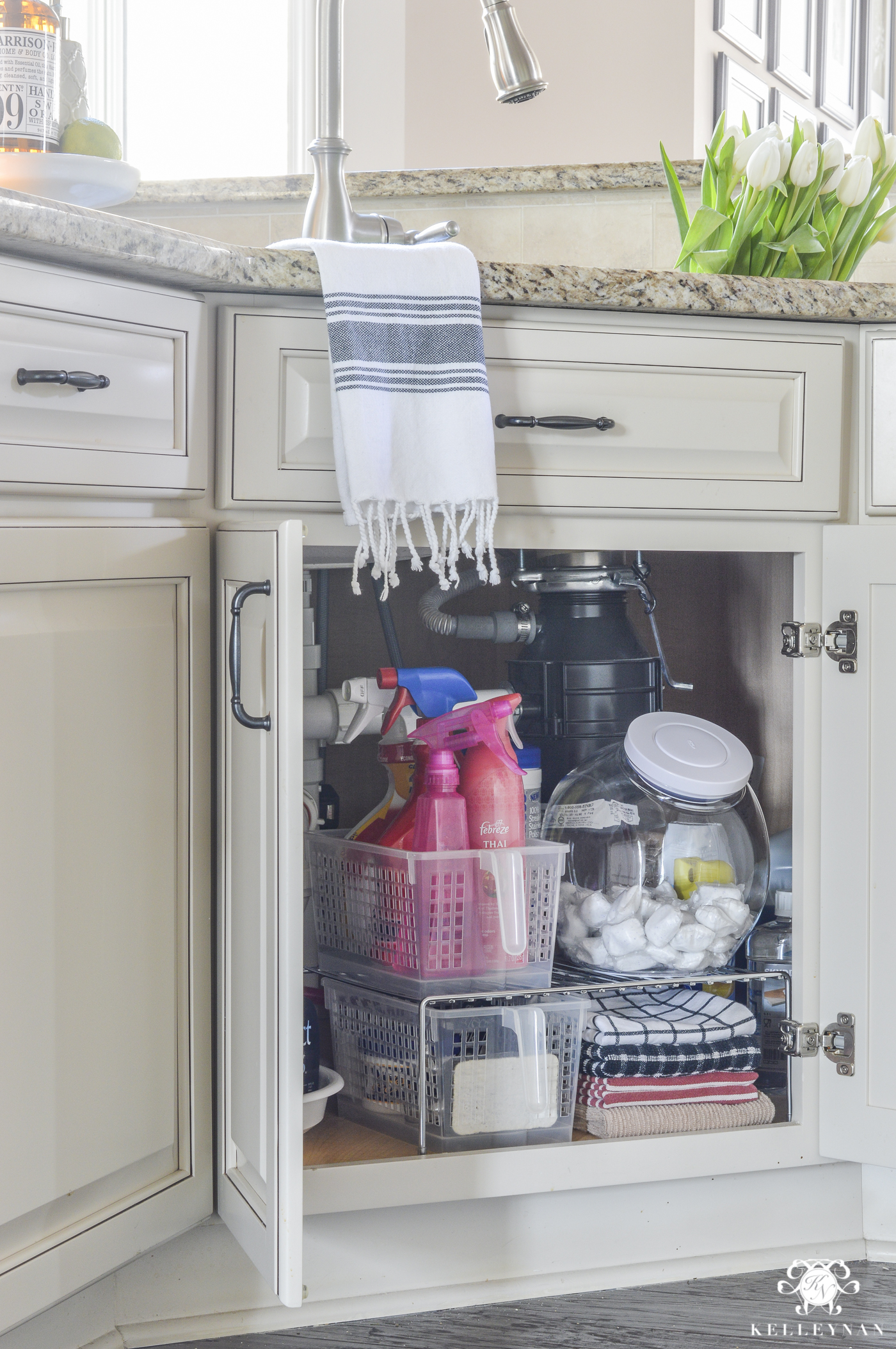 Under the Kitchen Sink Organizers & Cabinet Solutions - Kelley Nan