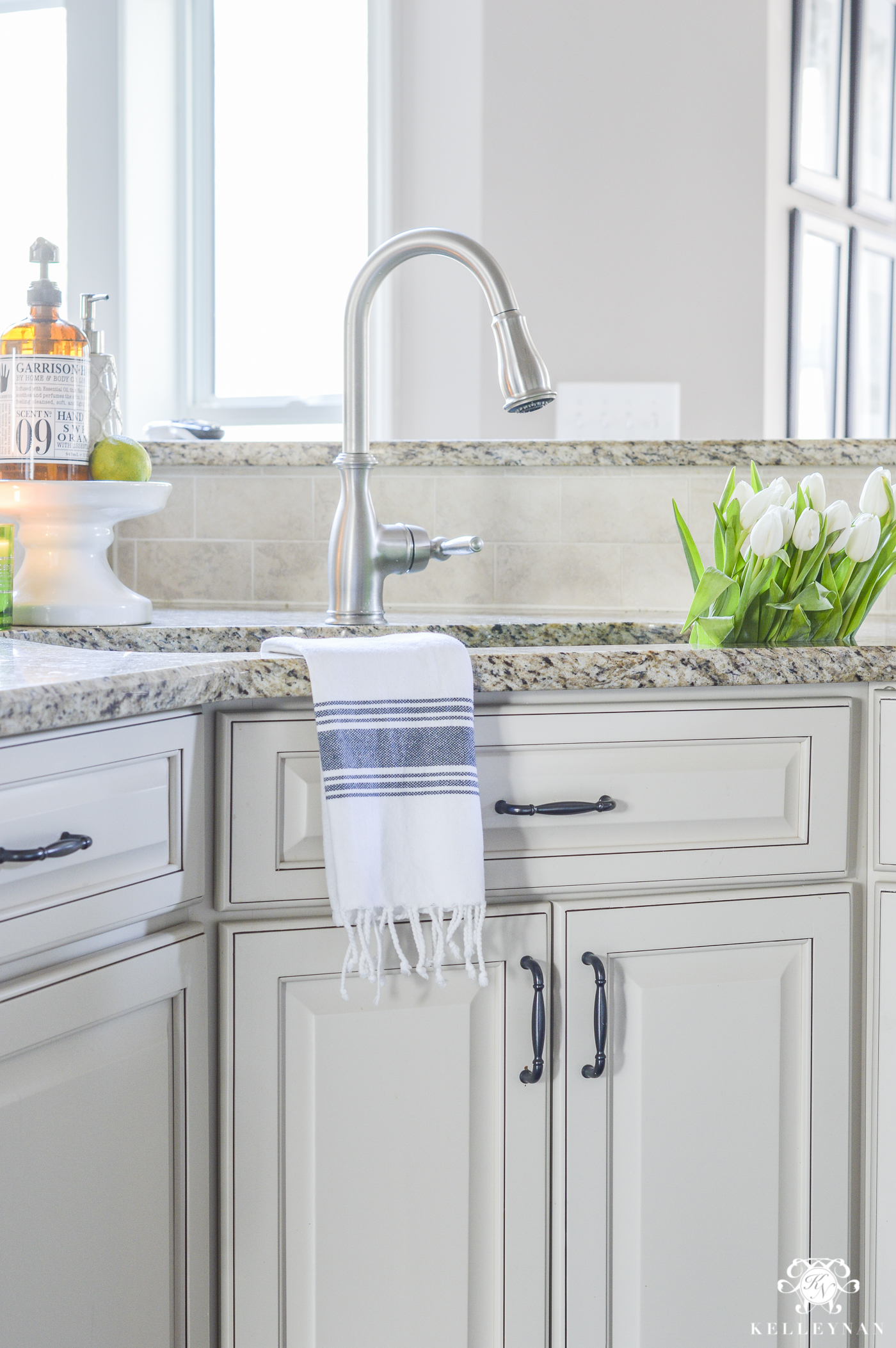 Under the Kitchen Sink Organizers & Cabinet Solutions - Kelley Nan