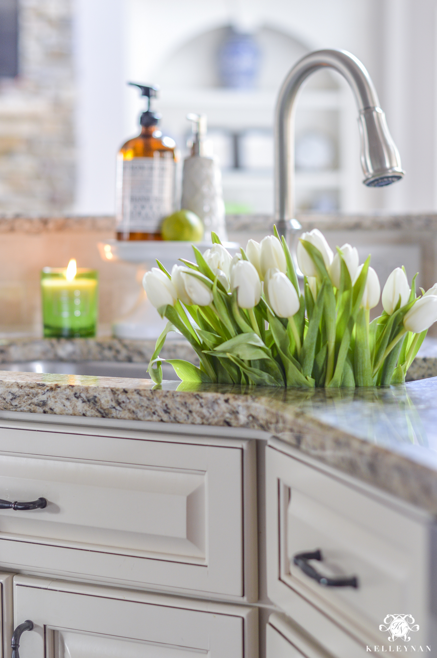 Organization for Under the Kitchen Sink - Kelley Nan