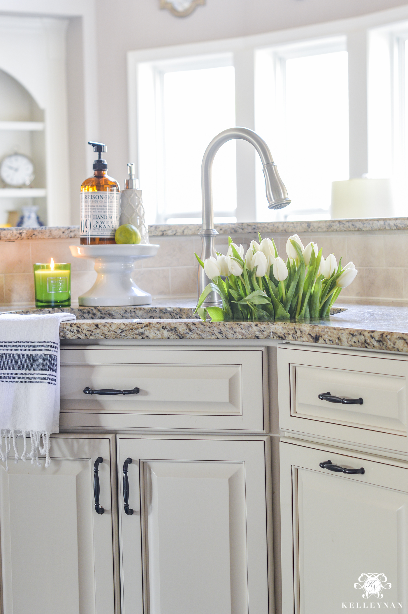 Organization for Under the Kitchen Sink - Kelley Nan