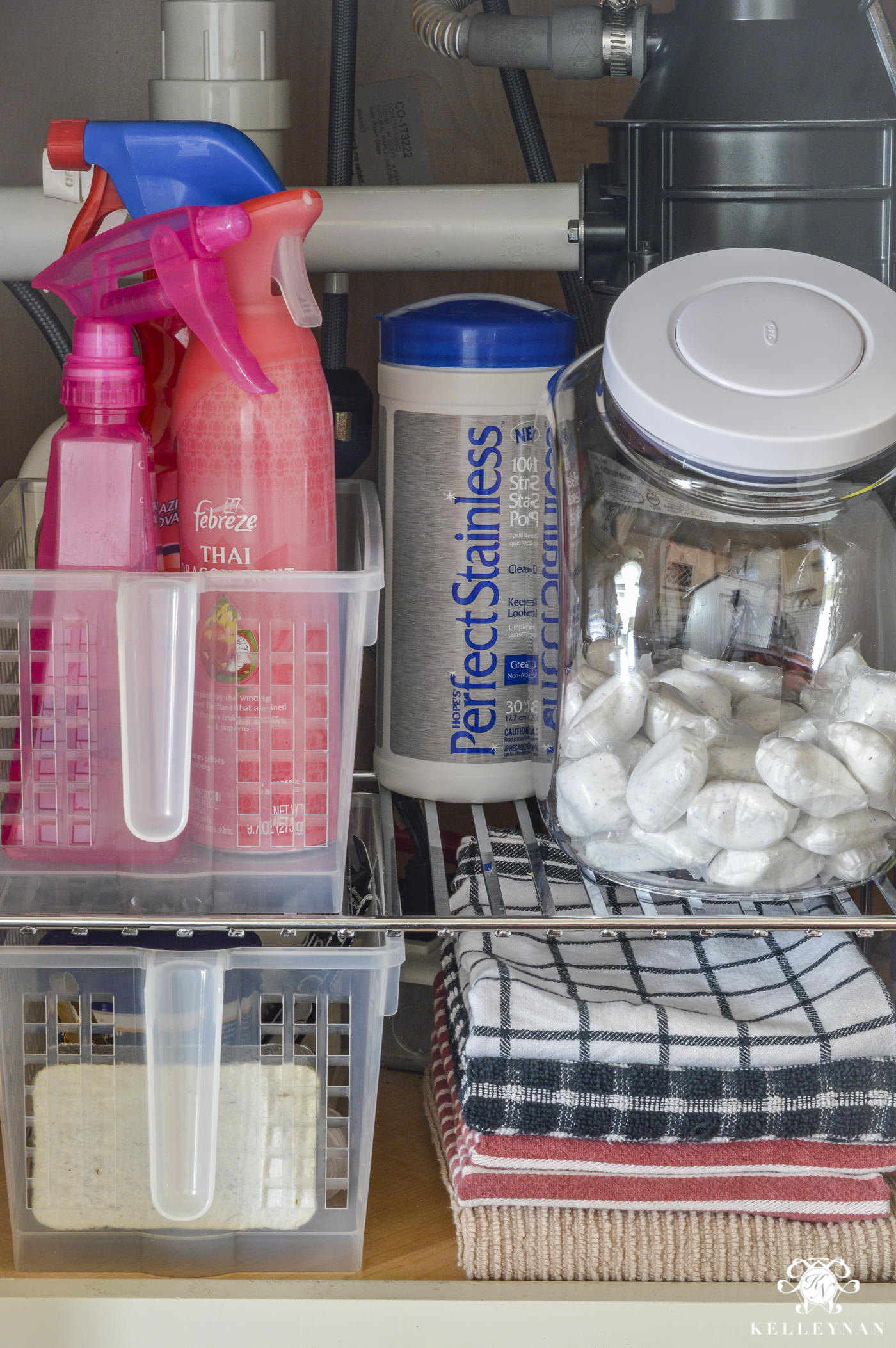 Organization Ideas for the Entire Kitchen (Every Nook & Cranny from the  Pantry to Under the Sink) - Kelley Nan