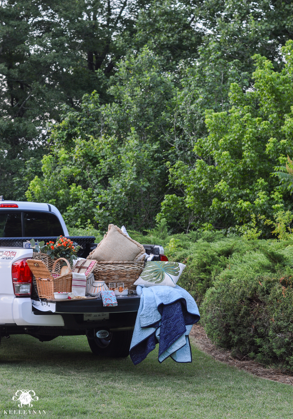 Picnic and Tailgate Ideas and Setup- fancy summer tailgate