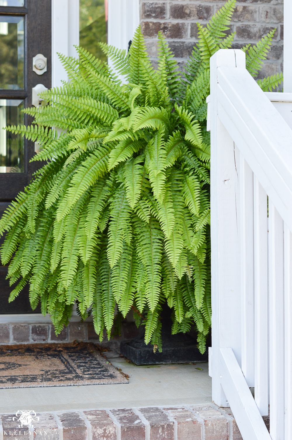 Front Porch Throughout The Seasons And Why Ferns In Urns Are The Way To Go Kelley Nan