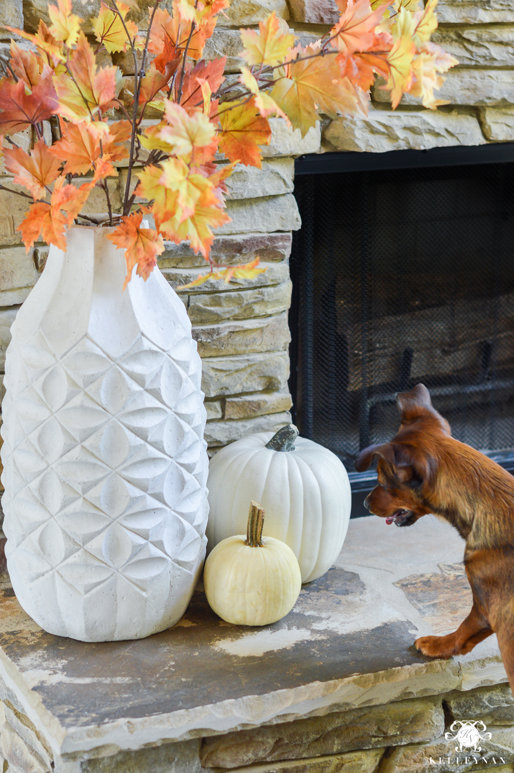 2017 Fall Home Tour with Yellow and Orange Leaves- dorkie puppy