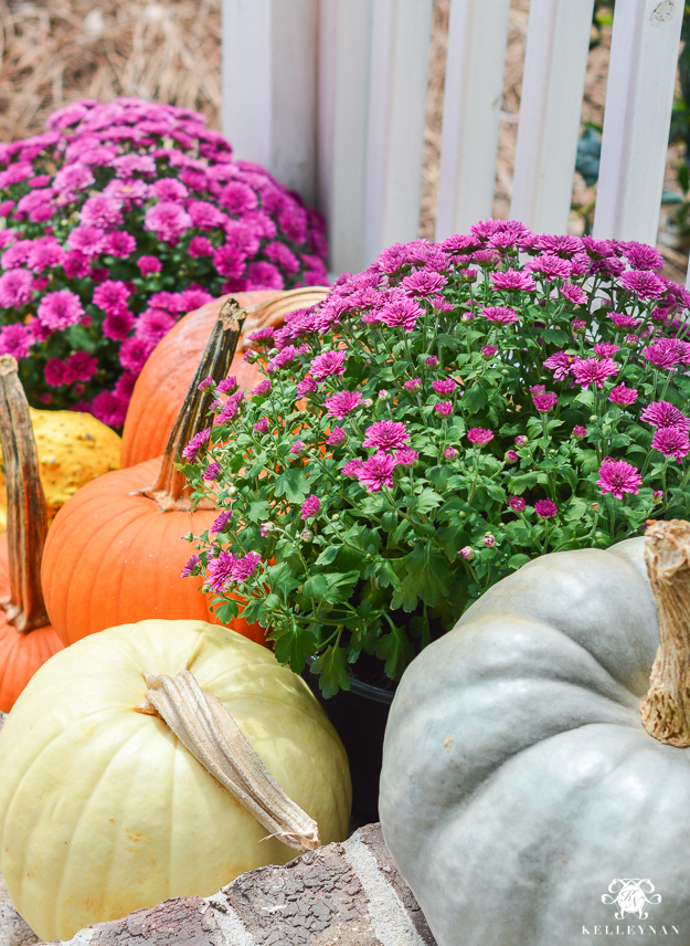 Fall front porch ideas with mums and pumpkins