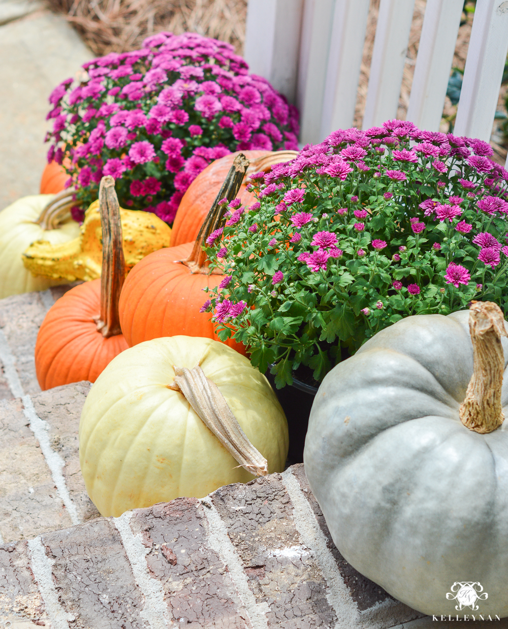 Fall front porch ideas with mums and pumpkins