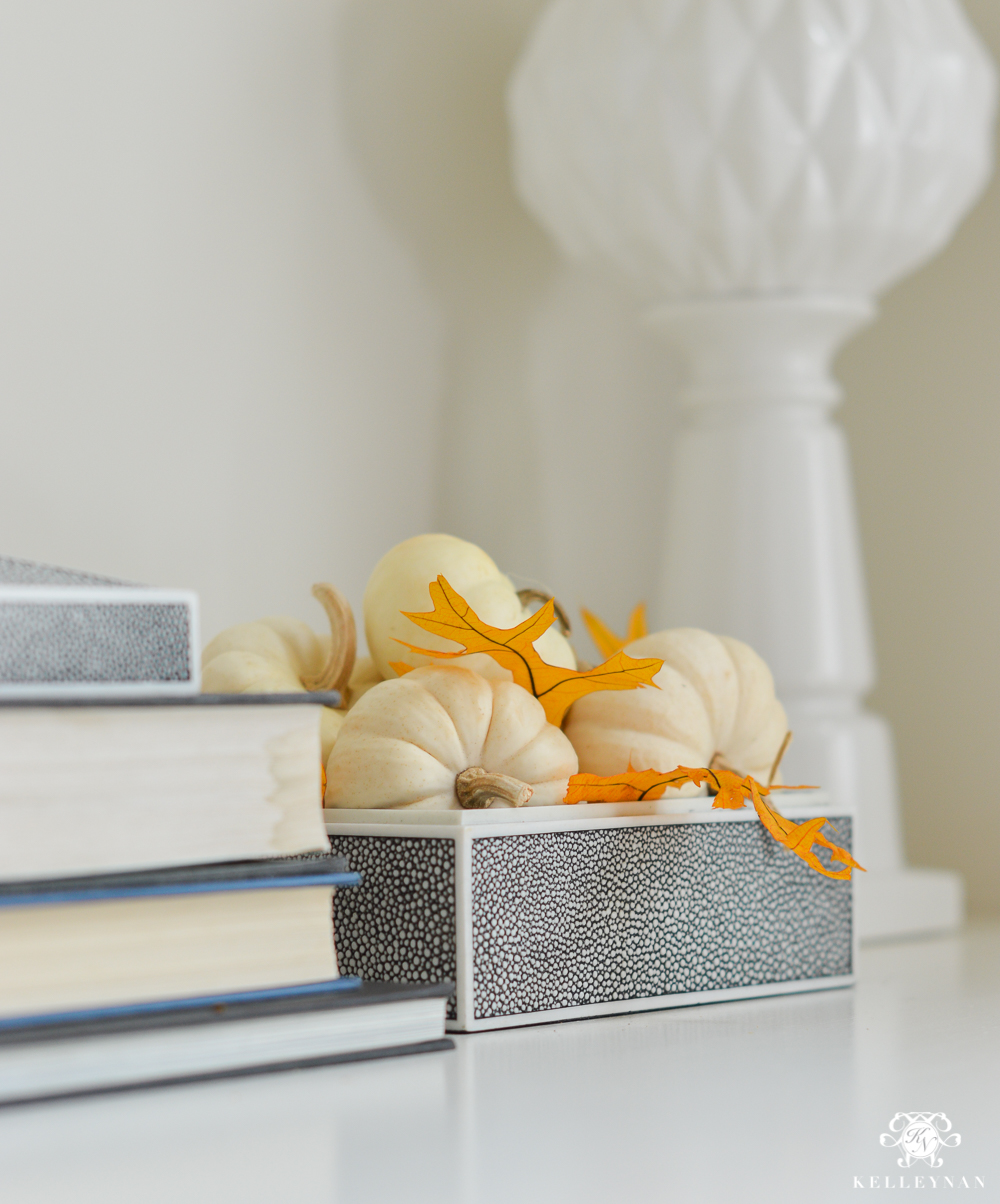 Pumpkins on a bookshelf with styling ideas