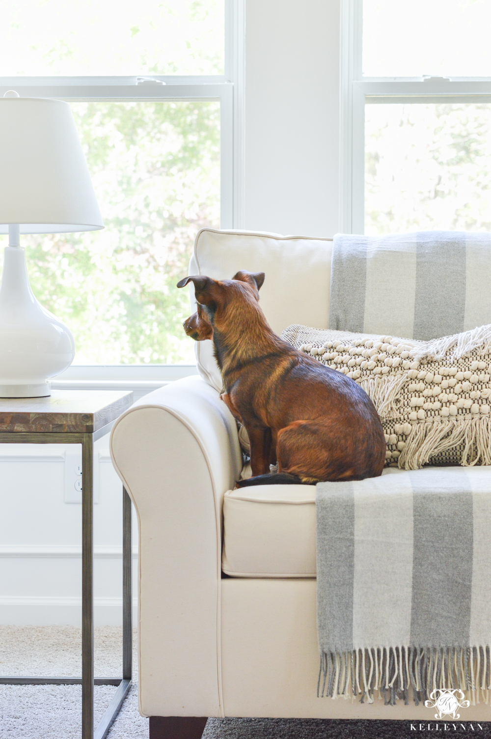 Bedroom sitting nook progress with a puppy gazing out the window