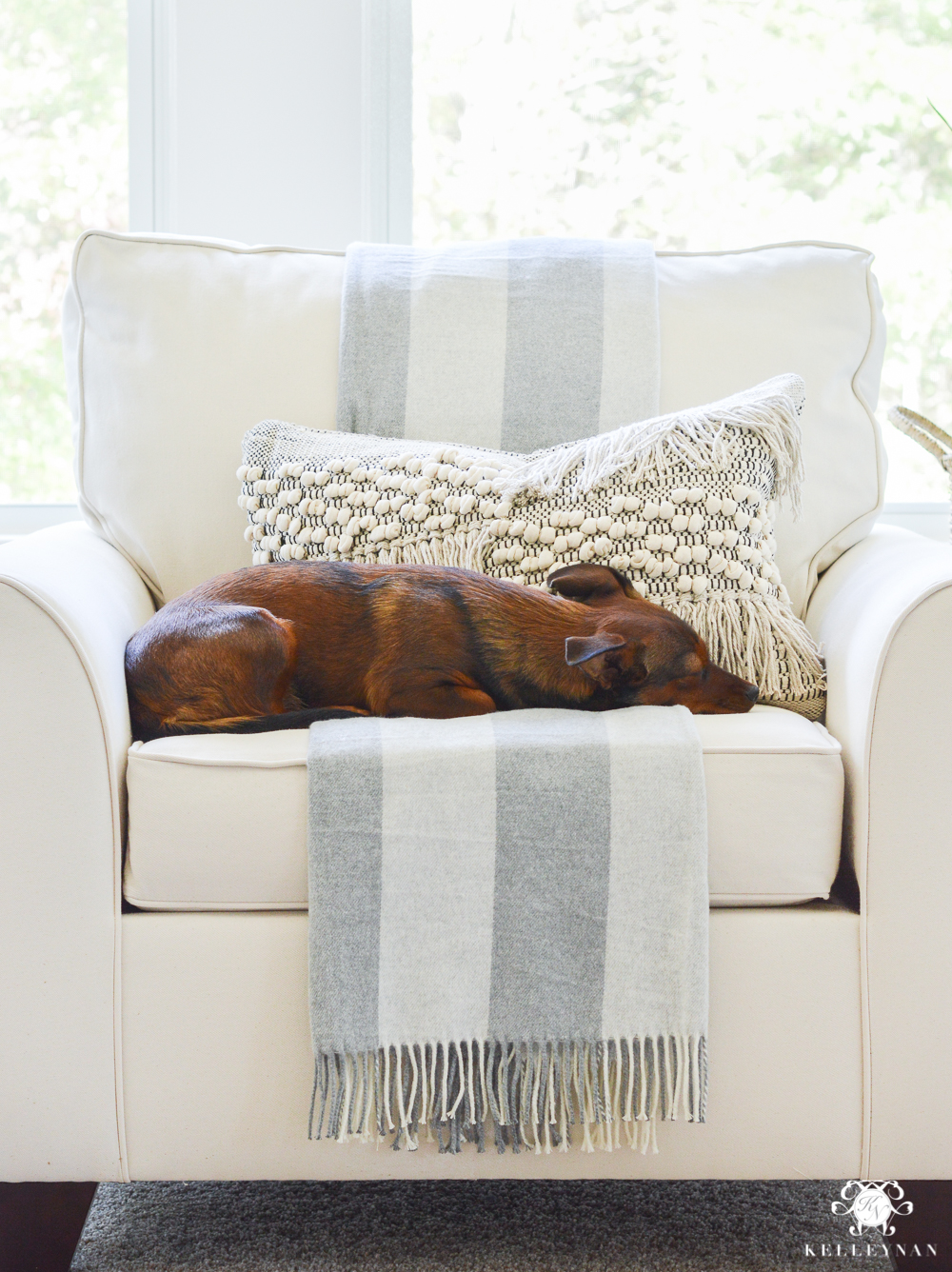 Puppy napping in oversized chair in sitting area