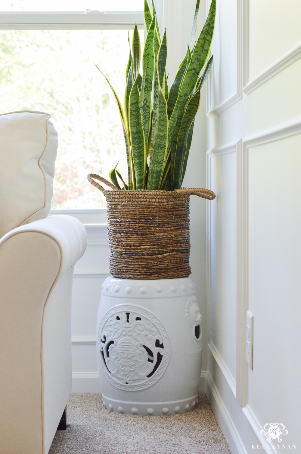 Style a snake plant in the corner of the room in a basket on top of a garden stool