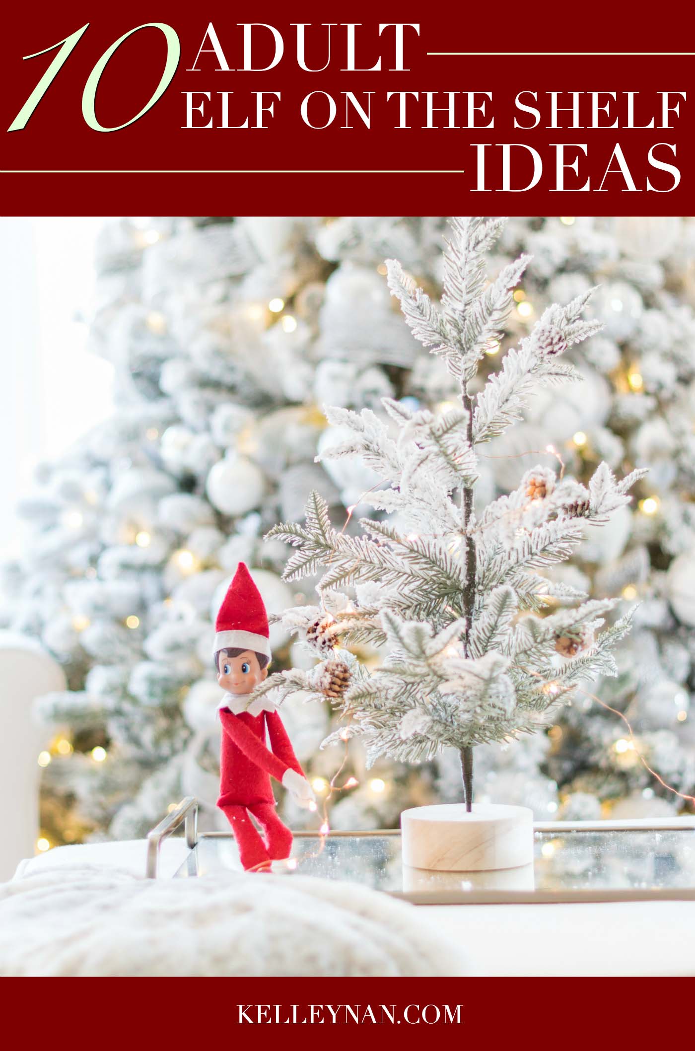 10 Adult Elf on the Shelf Ideas- Themed for husbands, wives, and friends!