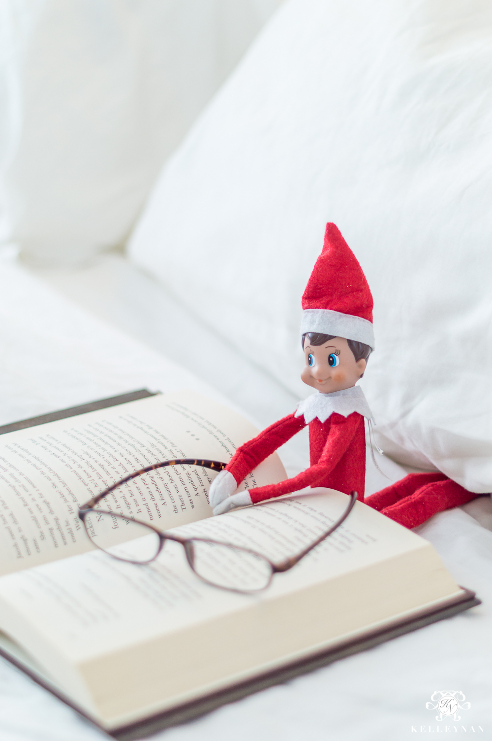 Elf on the shelf ideas- a new book before Christmas