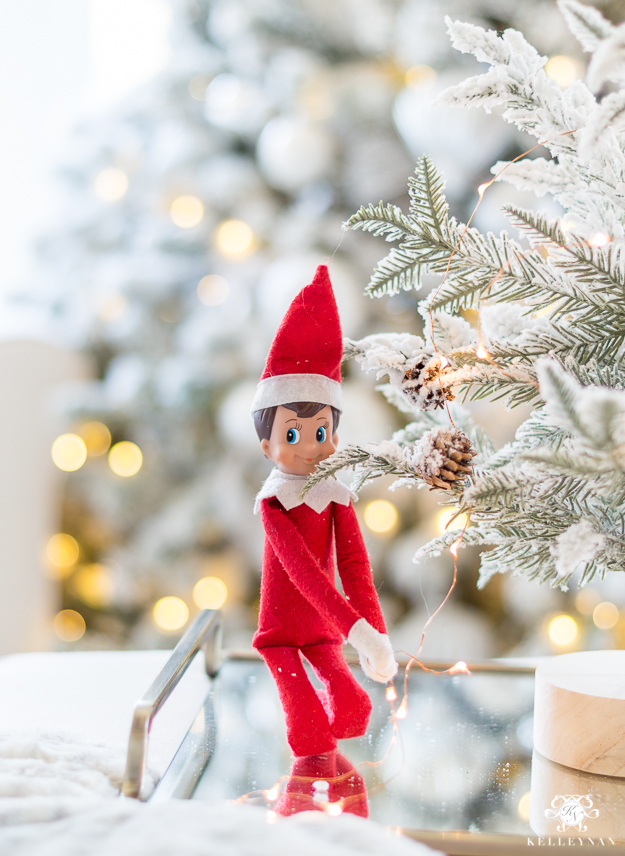 Elf on the Shelf ideas