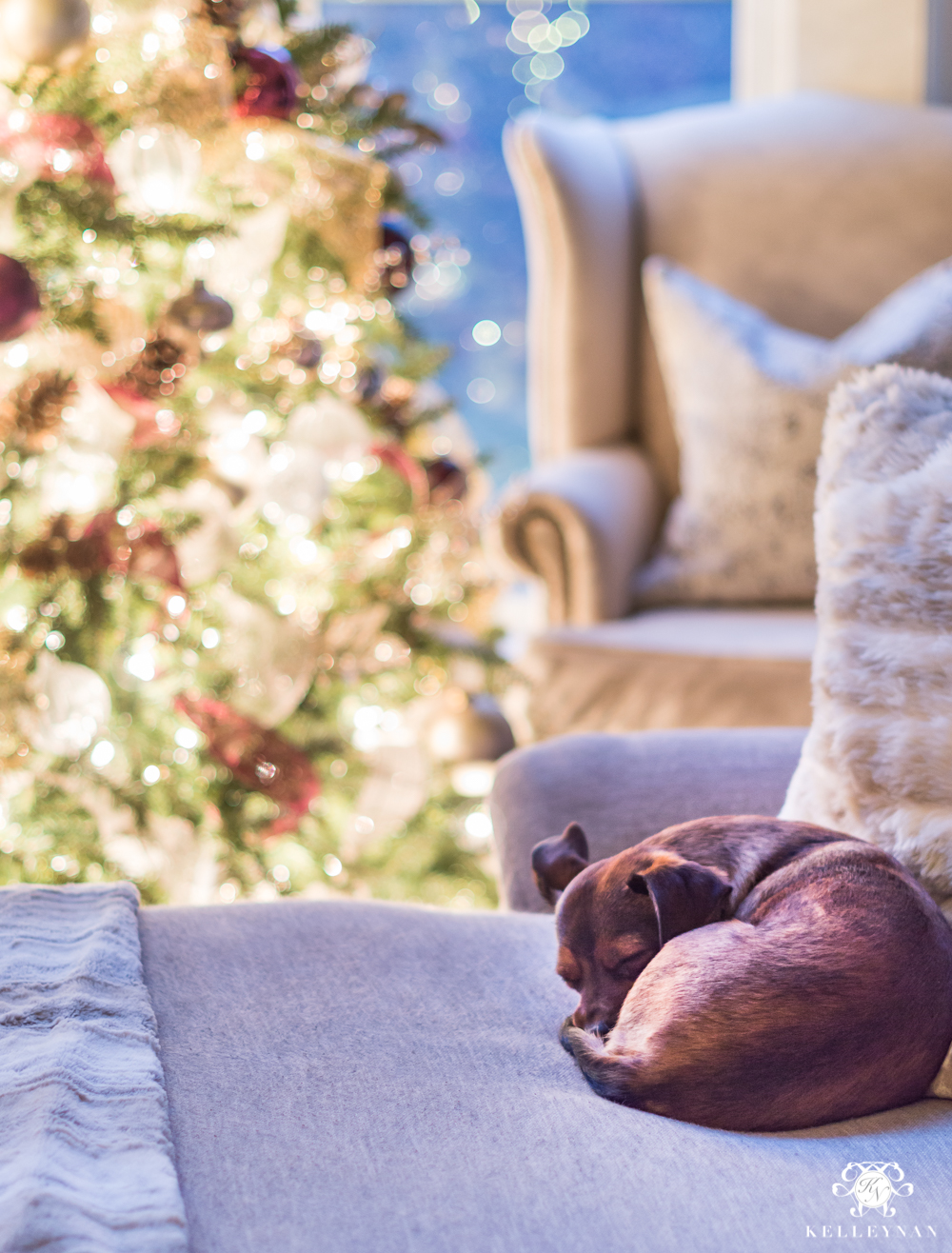 Cute puppy under the christmas tree