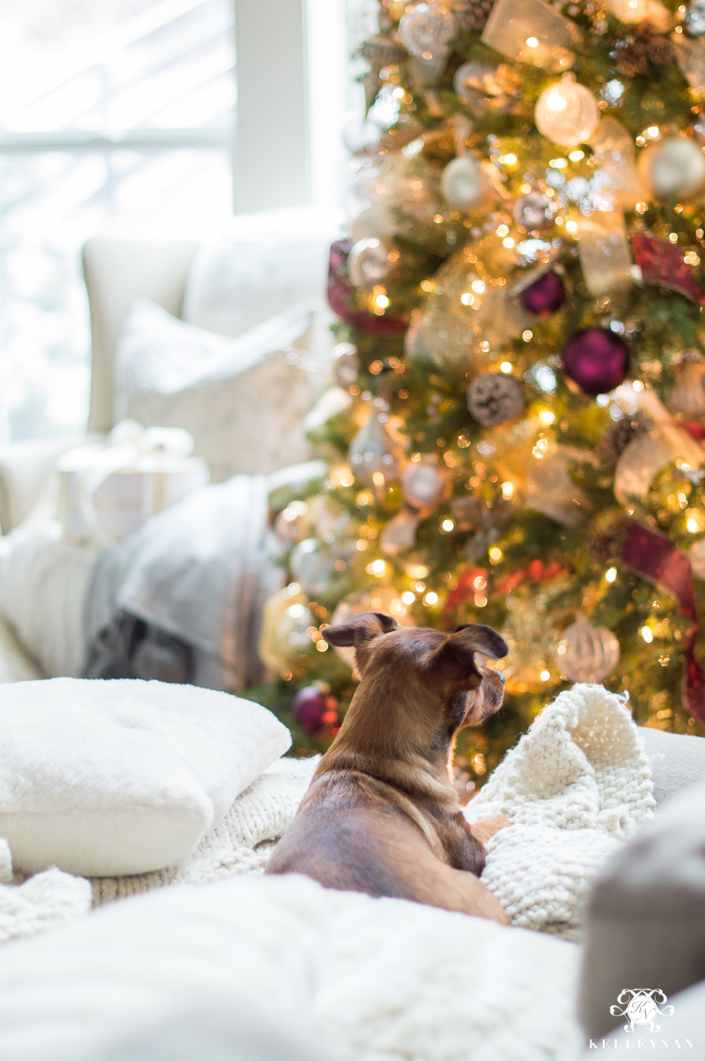 Christmas puppy under the tree