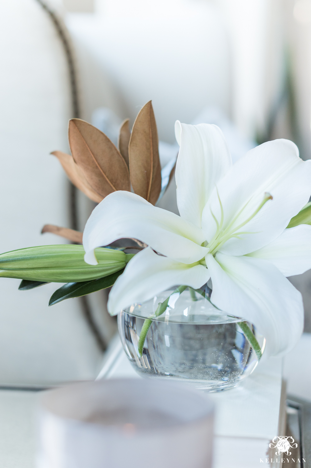 Lily bloom with green magnolia leaves mixed in