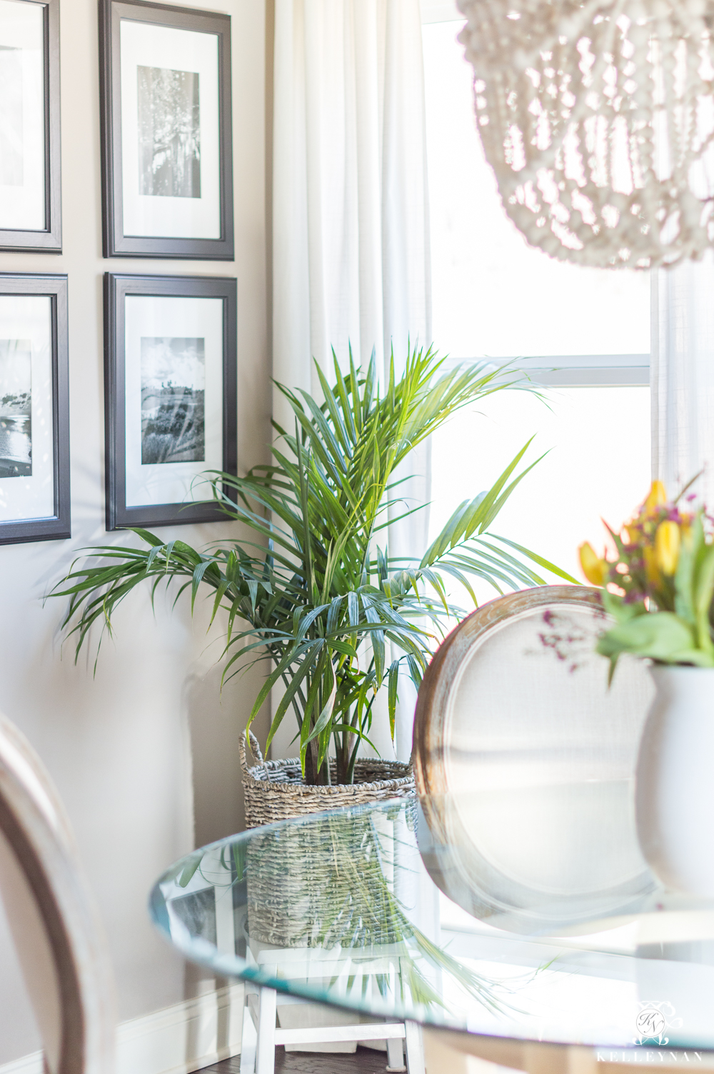 Palm House Plant in Breakfast Eating Area