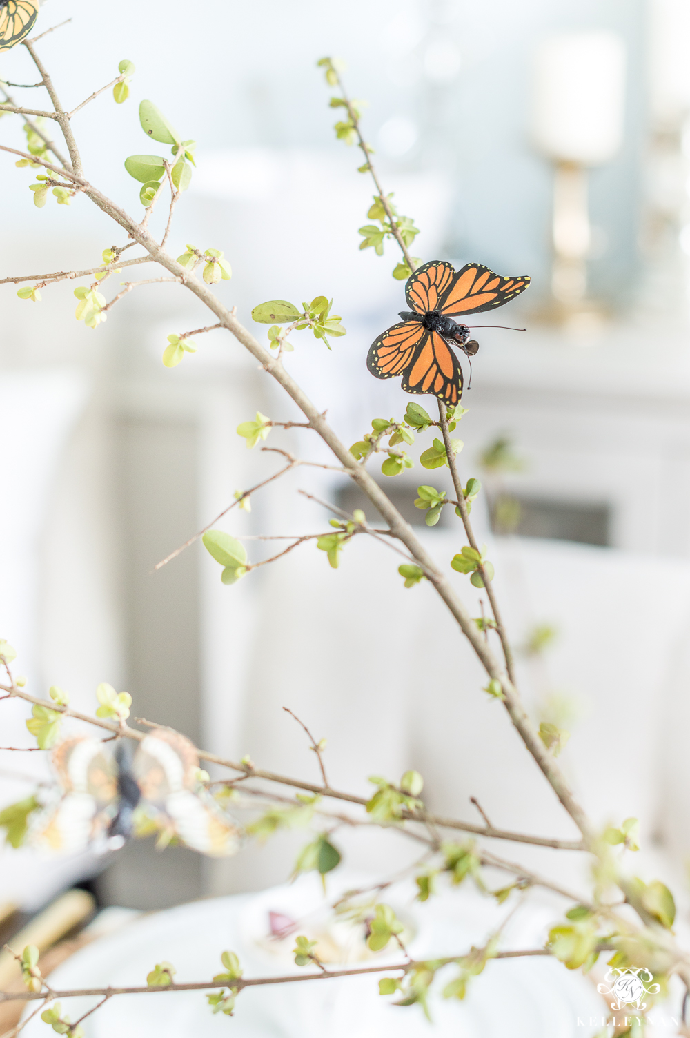 Butterfly Clips on Spring Table Centerpiece