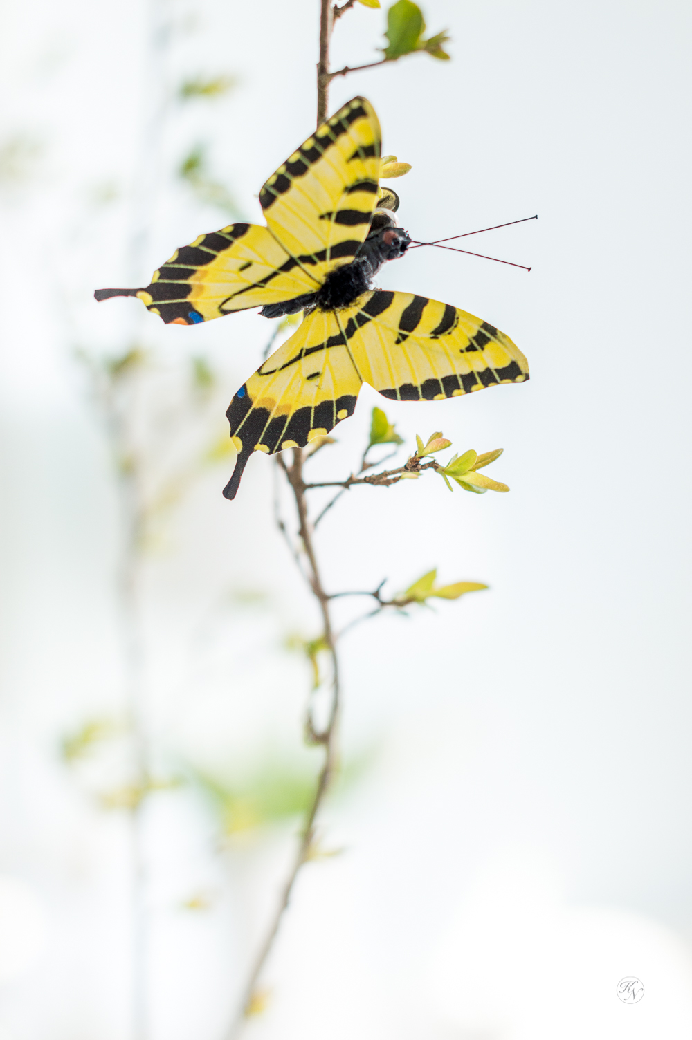 Yellow Monarch Butterfly Clip on Spring Branches