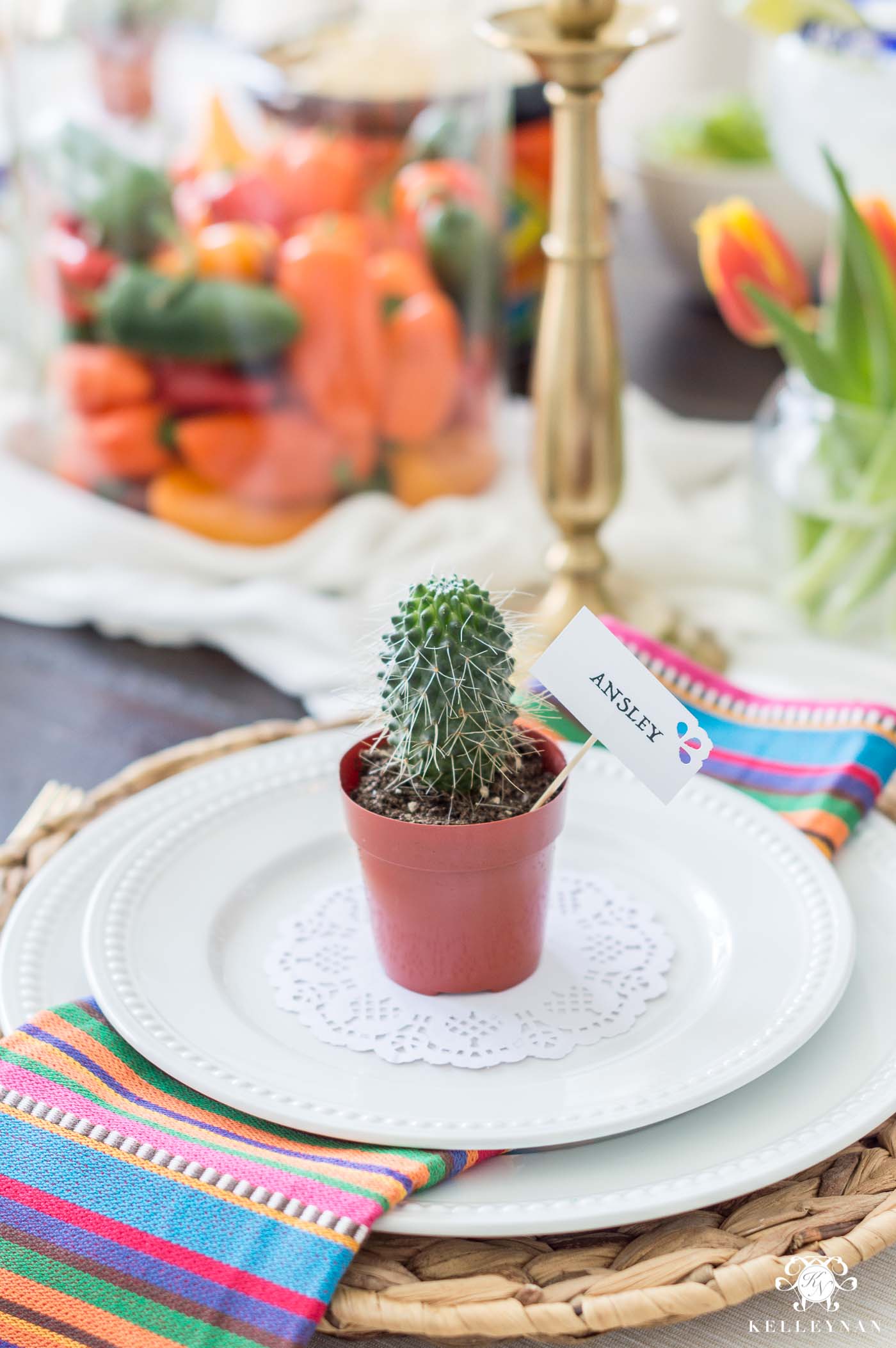 Mini Cactus at Each Place Setting for Mexican Themed Party