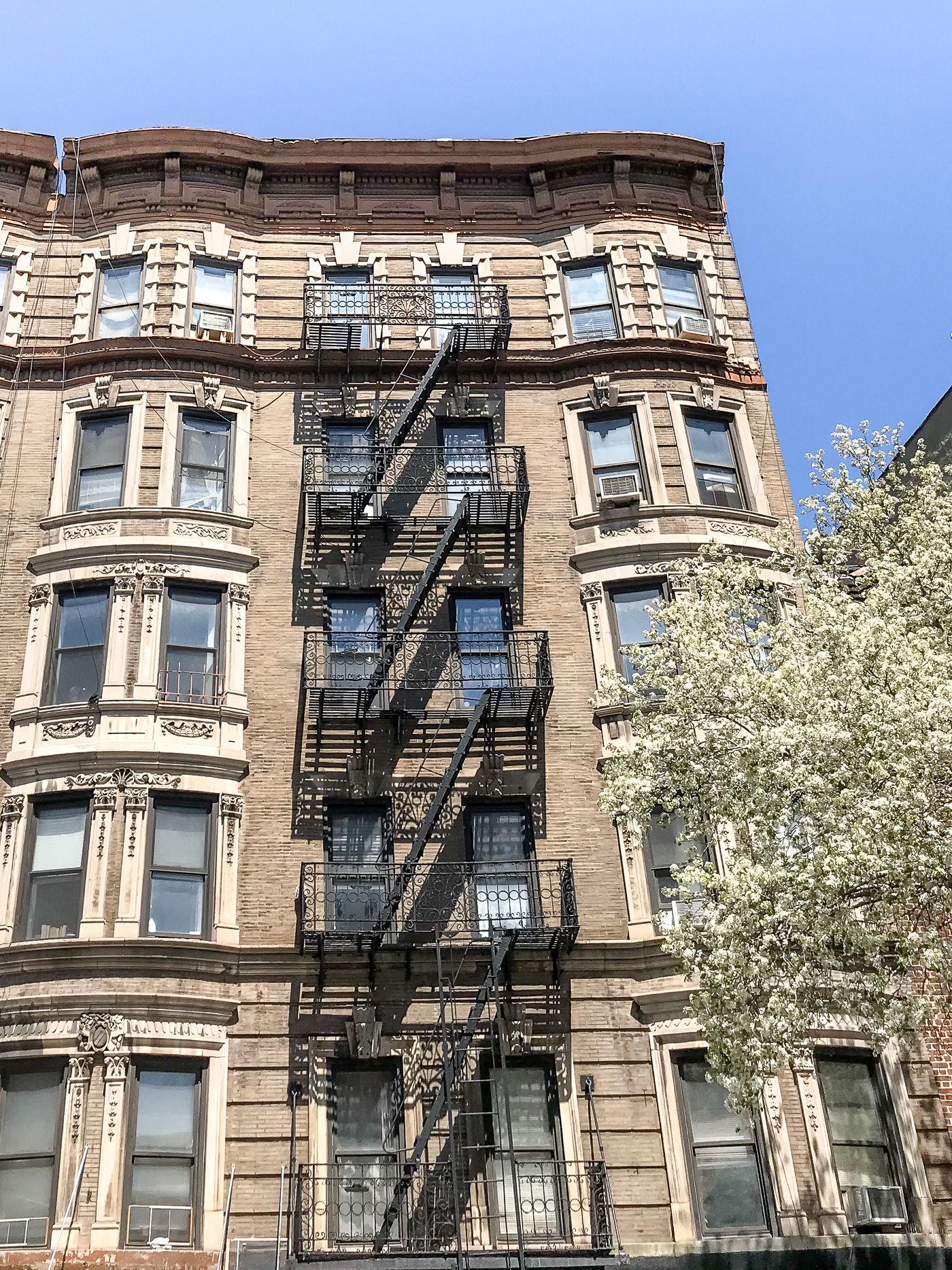 Apartments in Little Italy in NYC