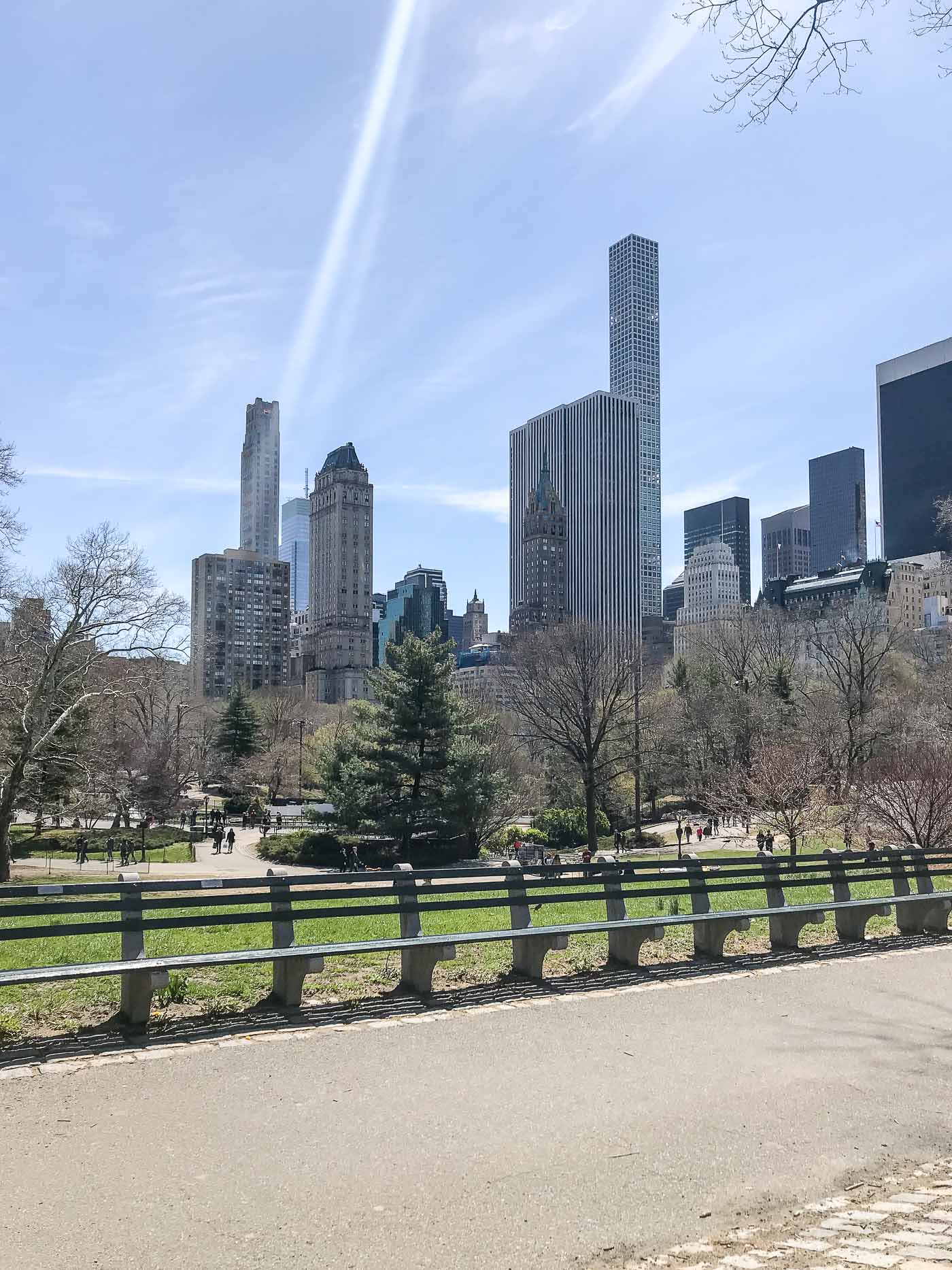 NYC Buildings from Central Park