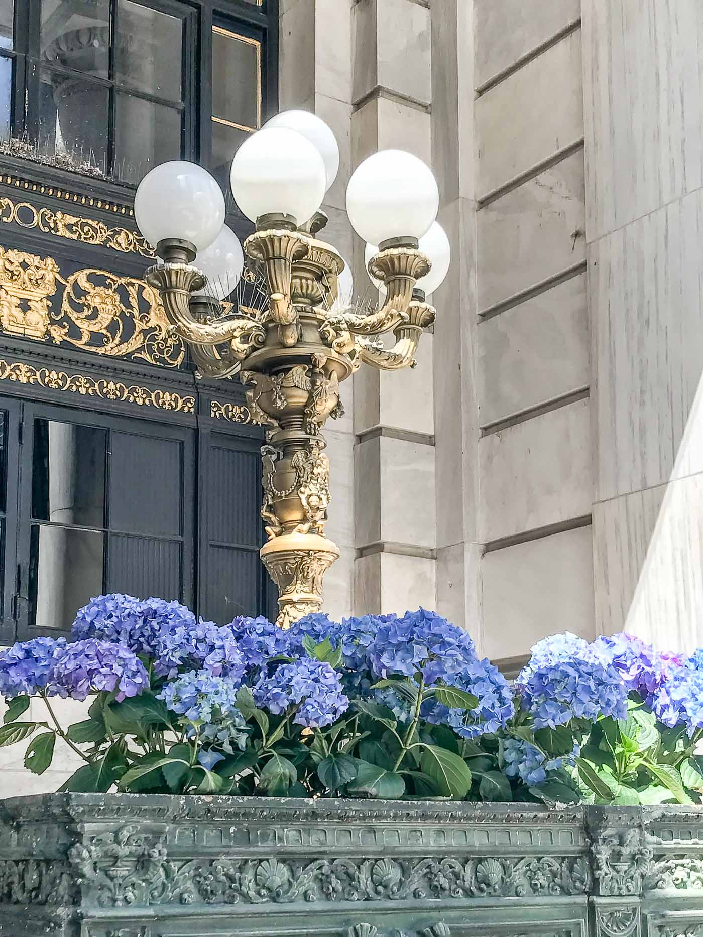 Plaza Hotel outside lamp and hydrangeas