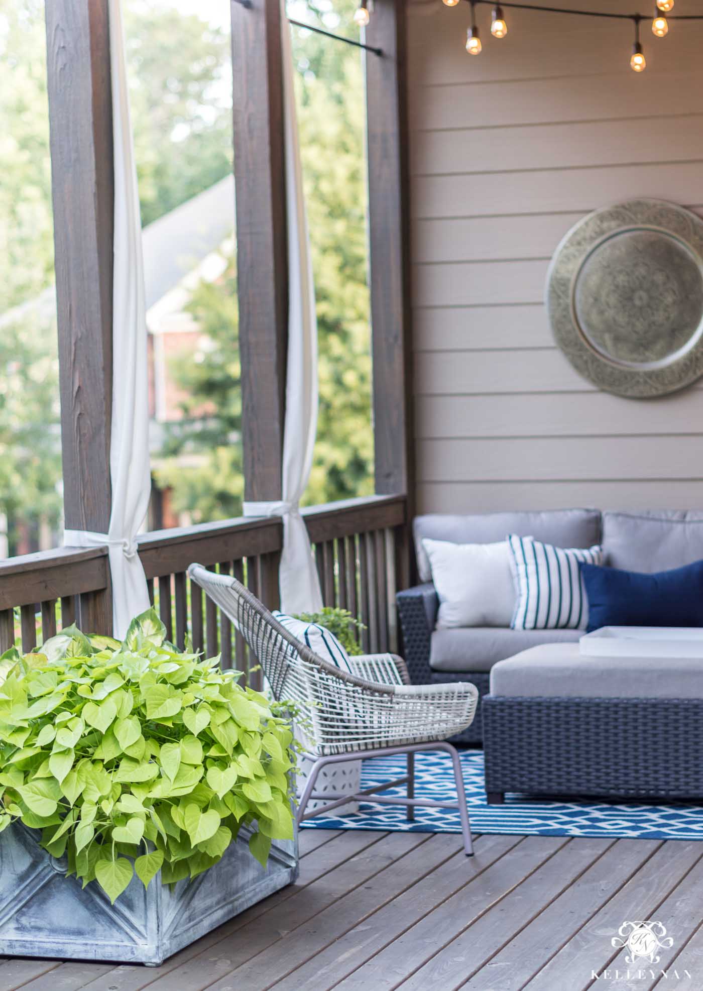 Plants that will thrive on a hot, sunny back deck