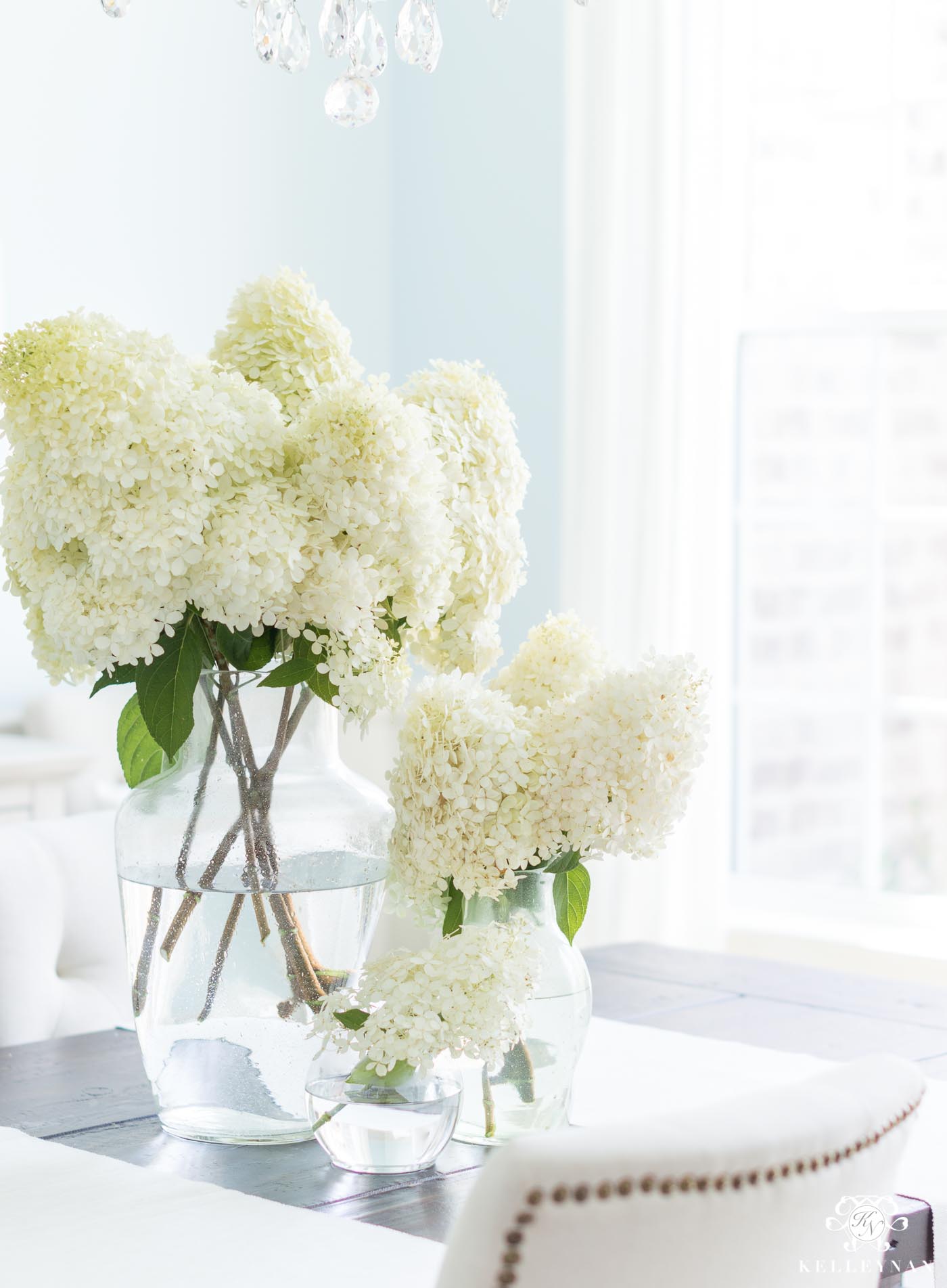 Image of Cone Hydrangea in a Vase