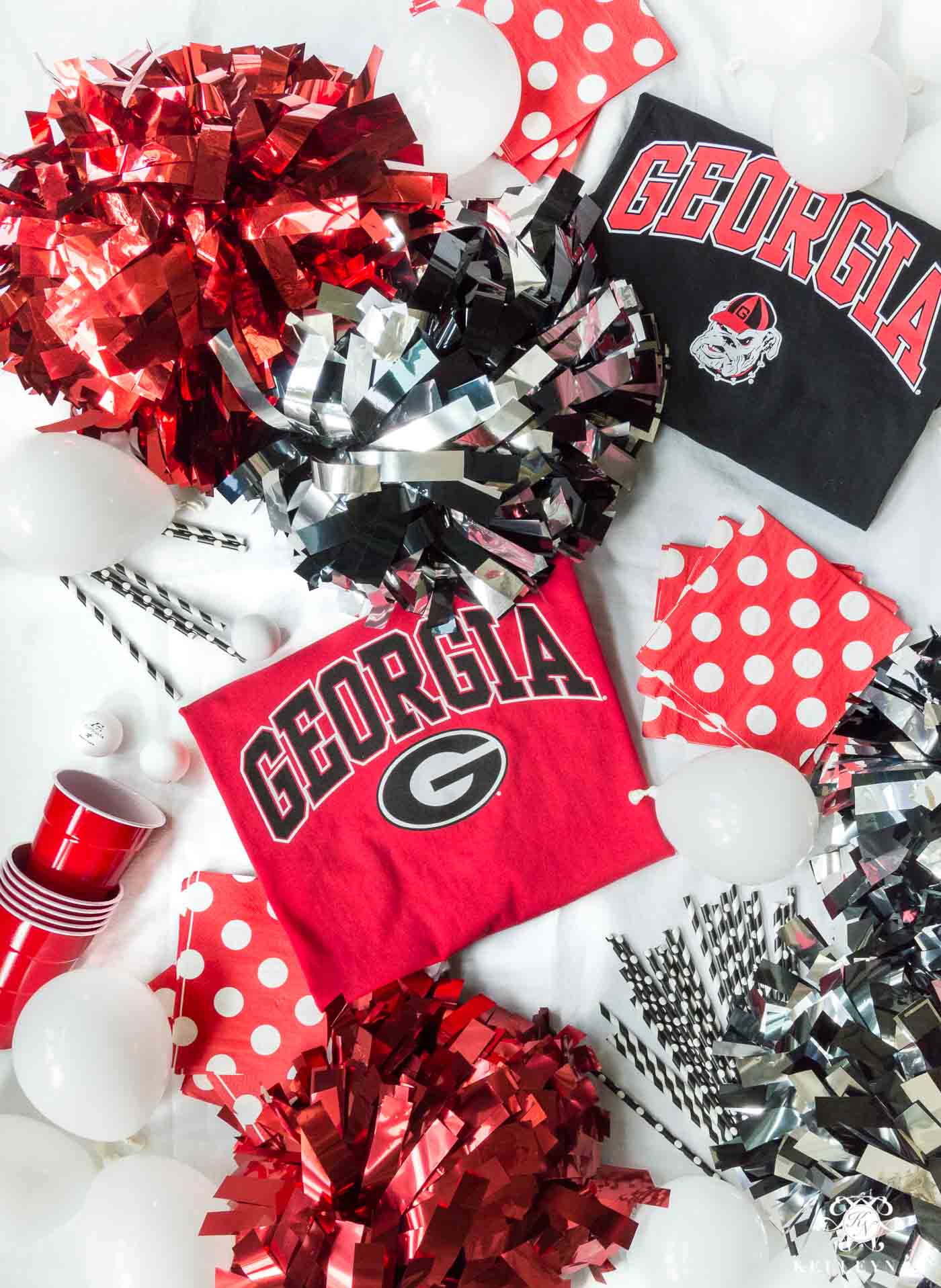 UGA gear and party supplies