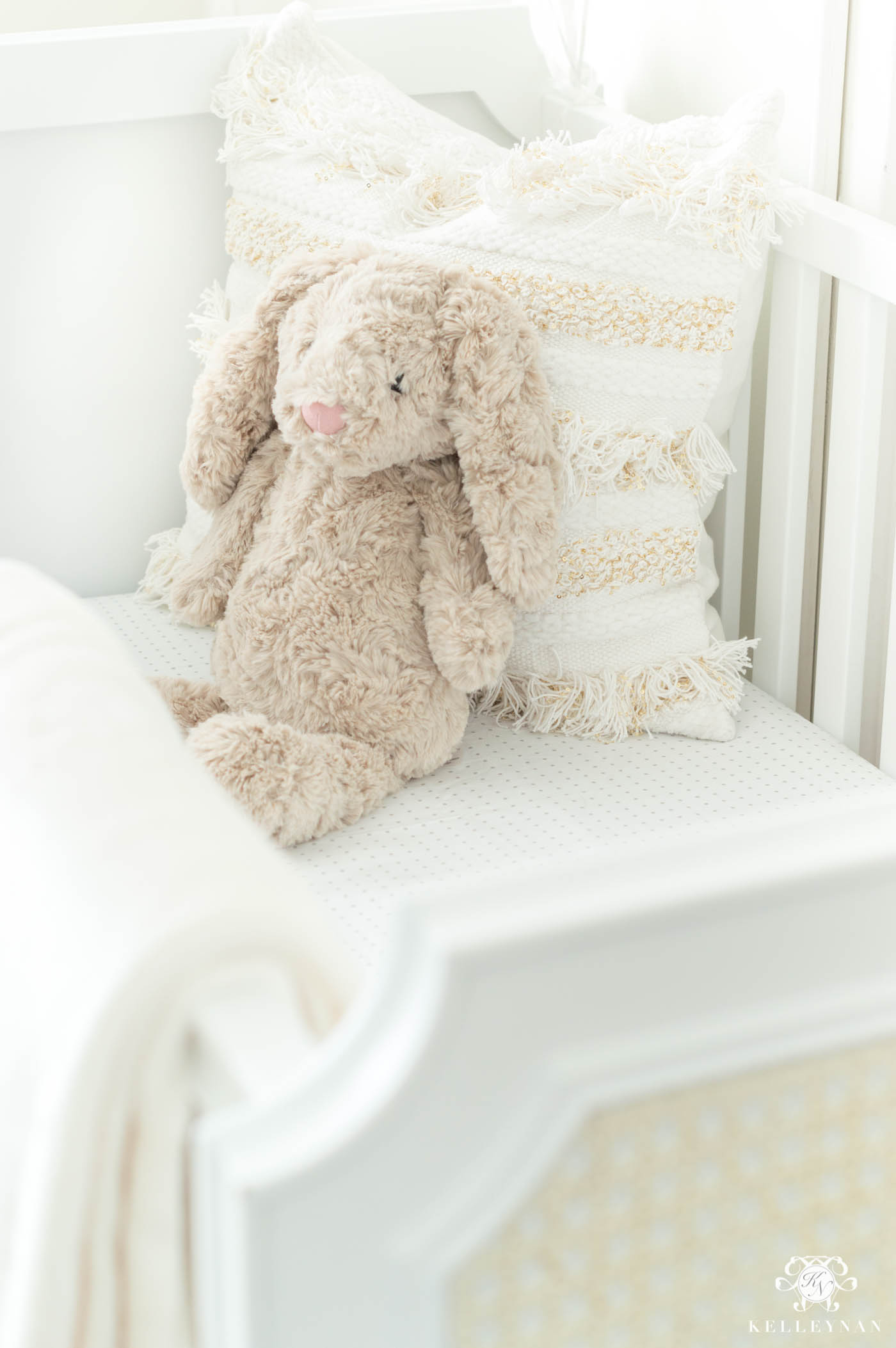 Baby announcement ideas using a crib and nursery and stuffed animal