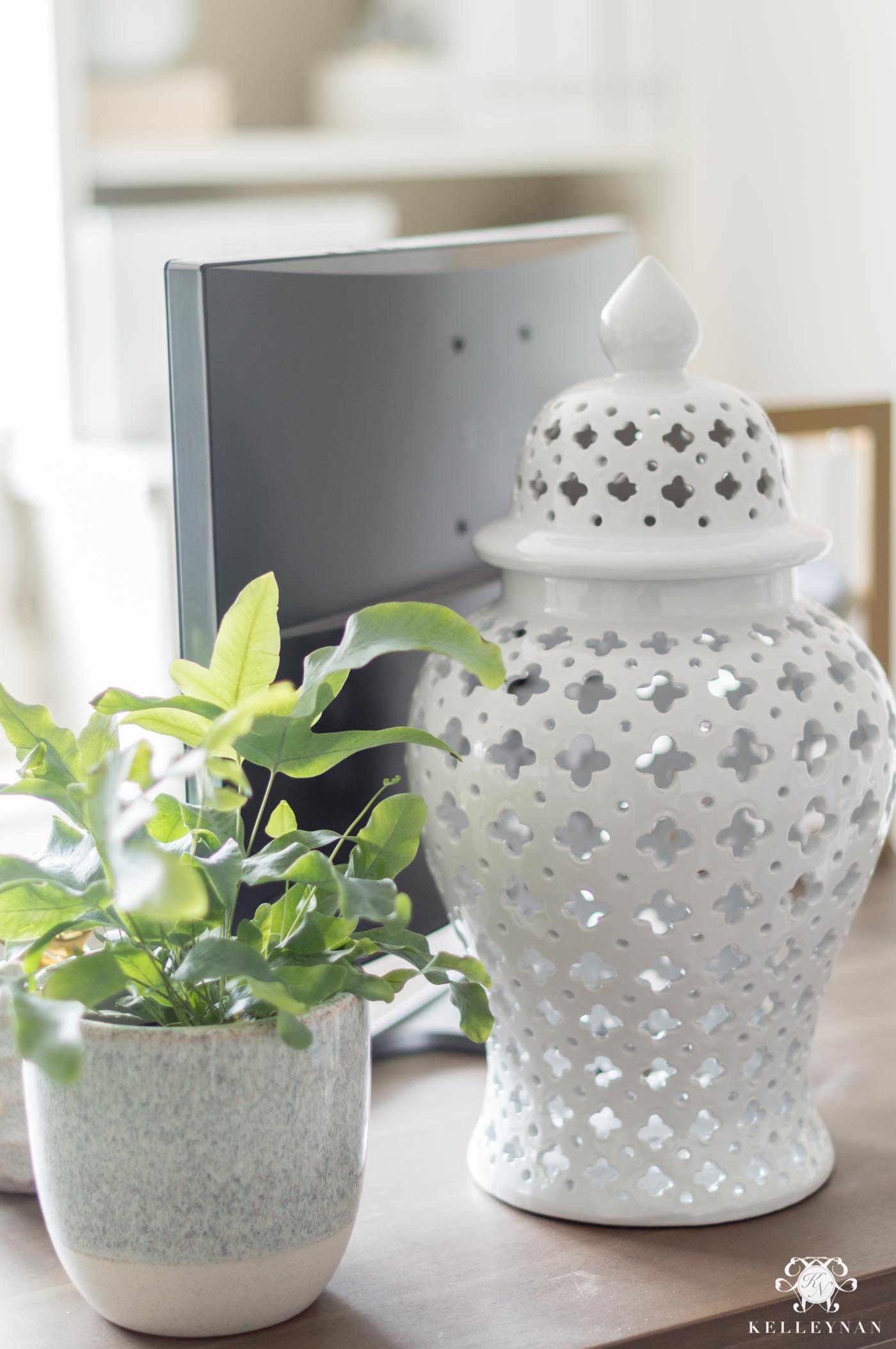 Spring decor and desktop plants