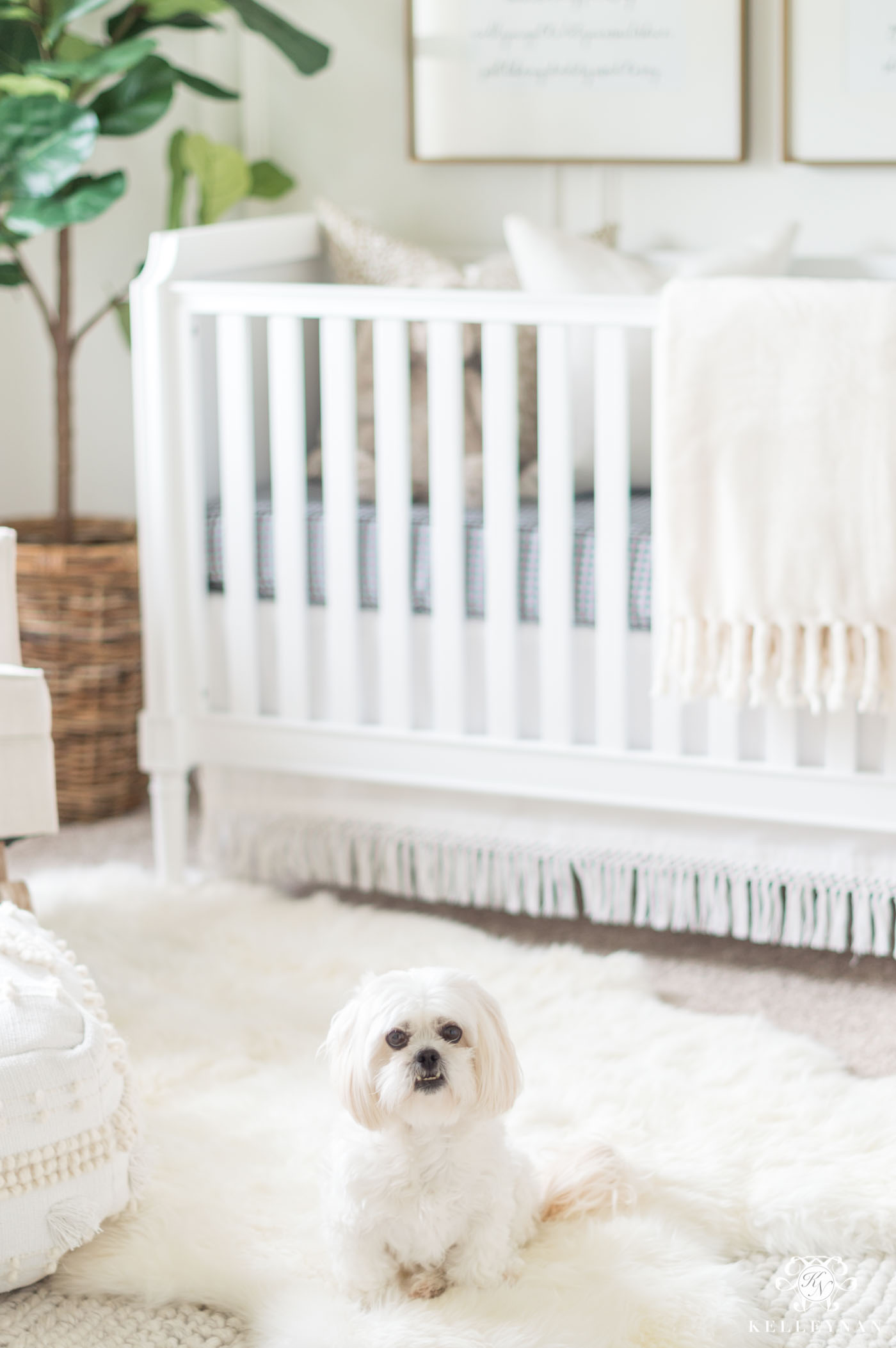 White neutral boho nursery