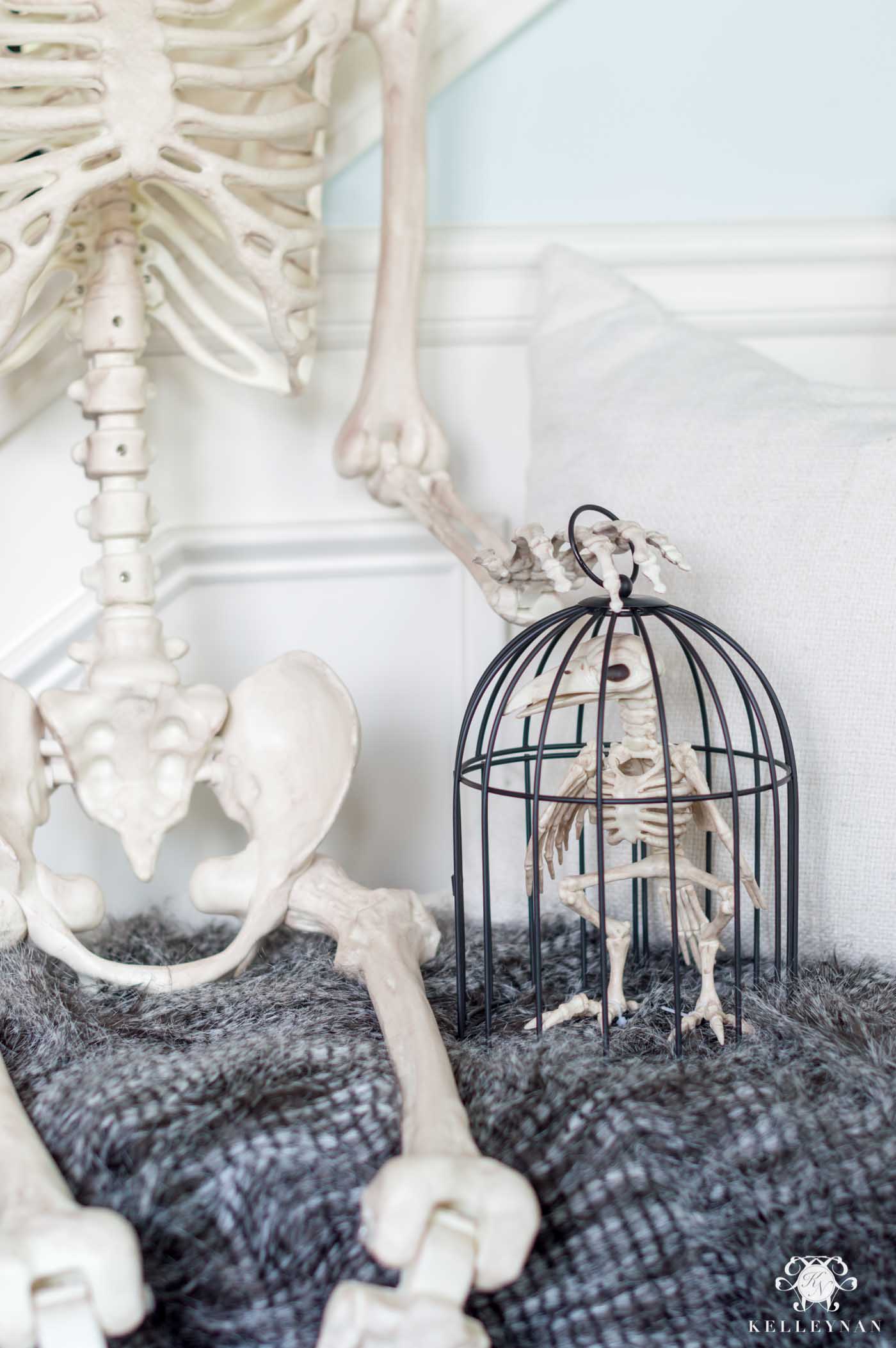 Skeleton Setup for Halloween Decor