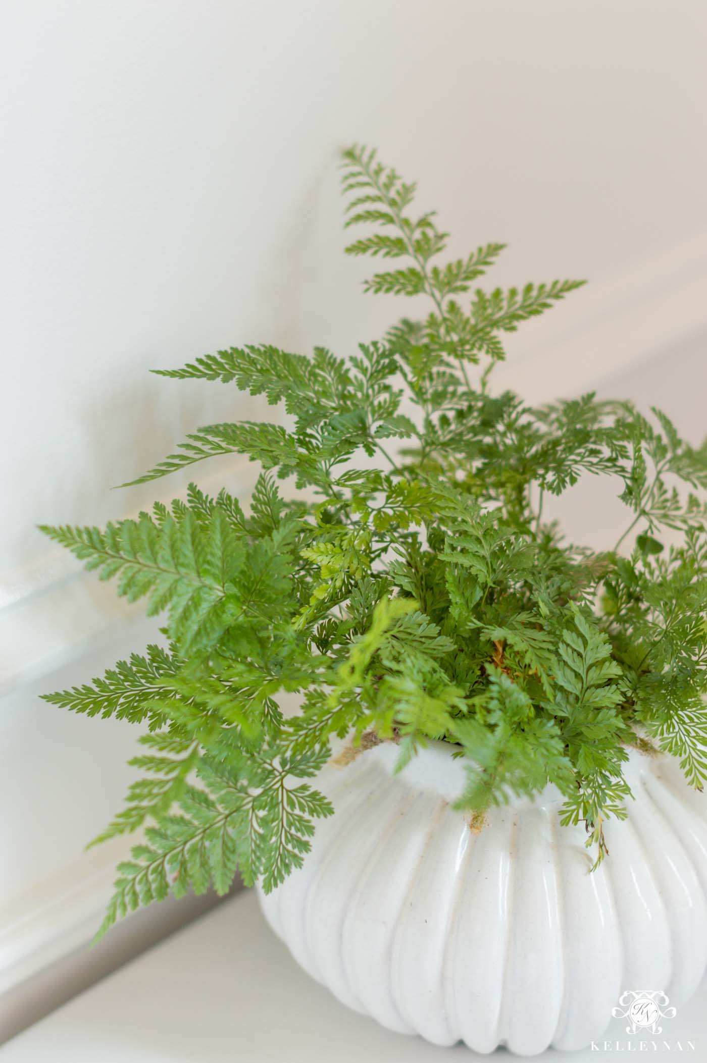 Coastal Powder Room - A Modern, Classic Design - Kelley Nan