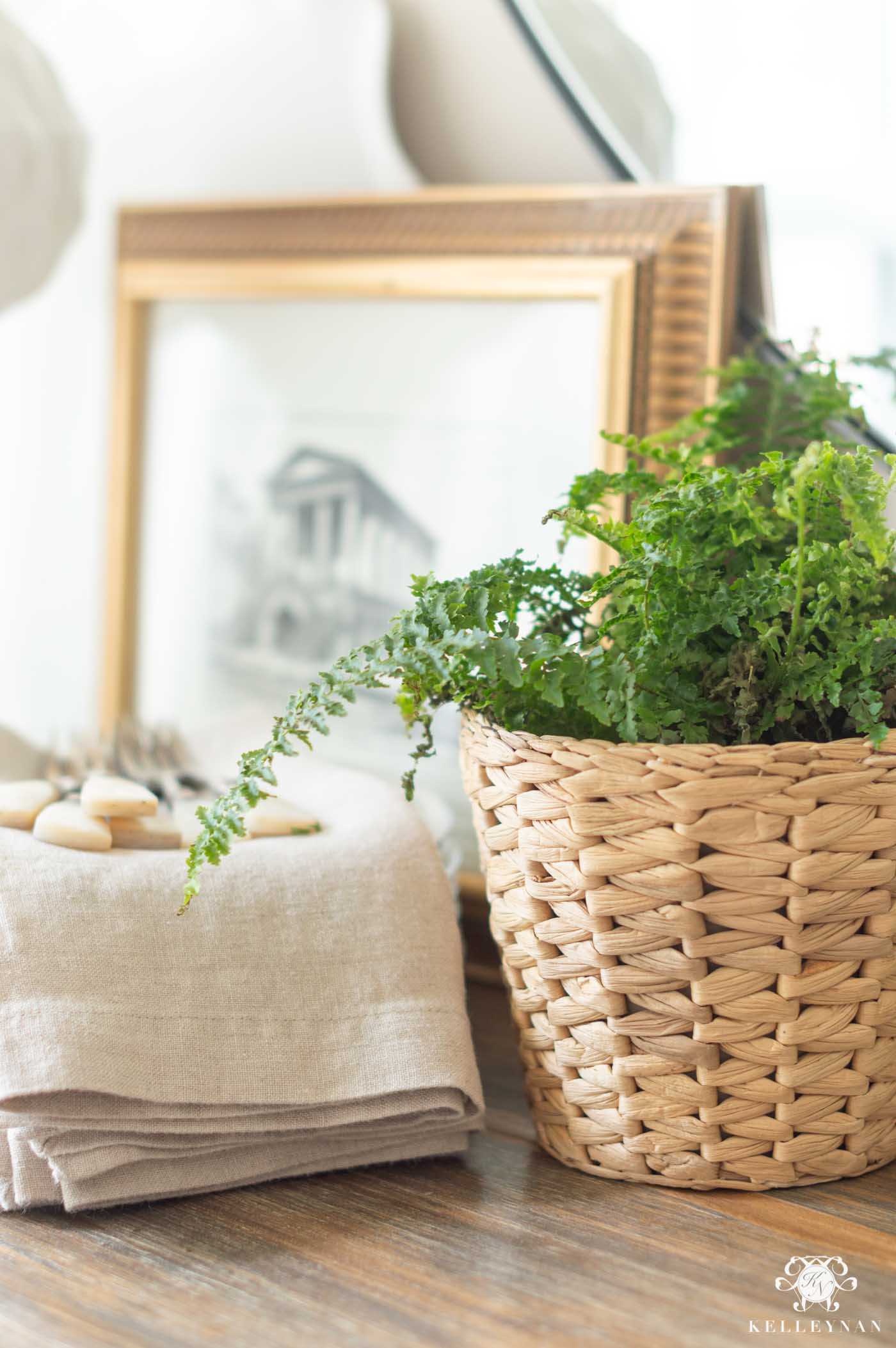 Adding Easy Live Plants to Your Spring Decor