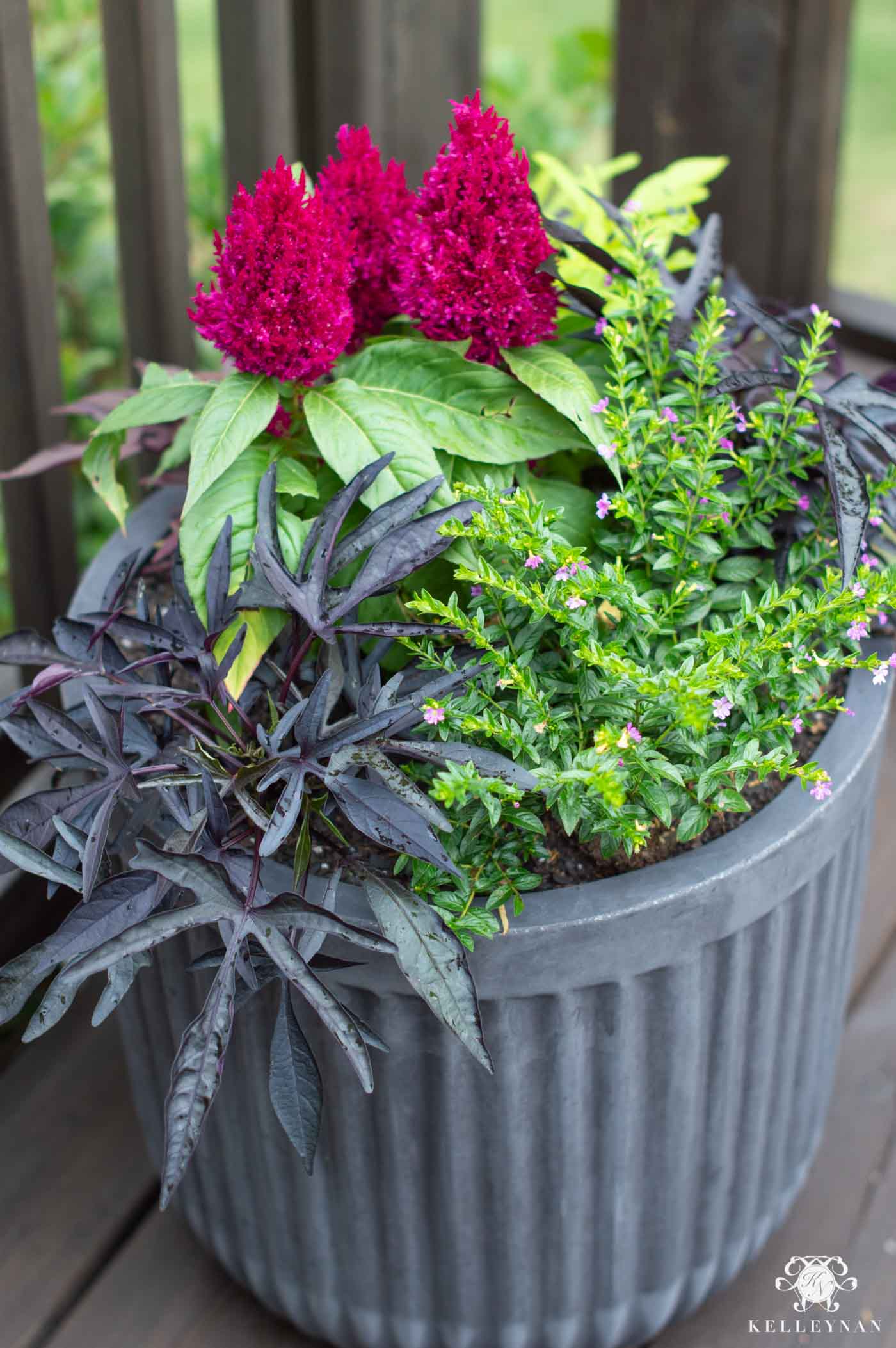 Full, Colorful Summer Planter