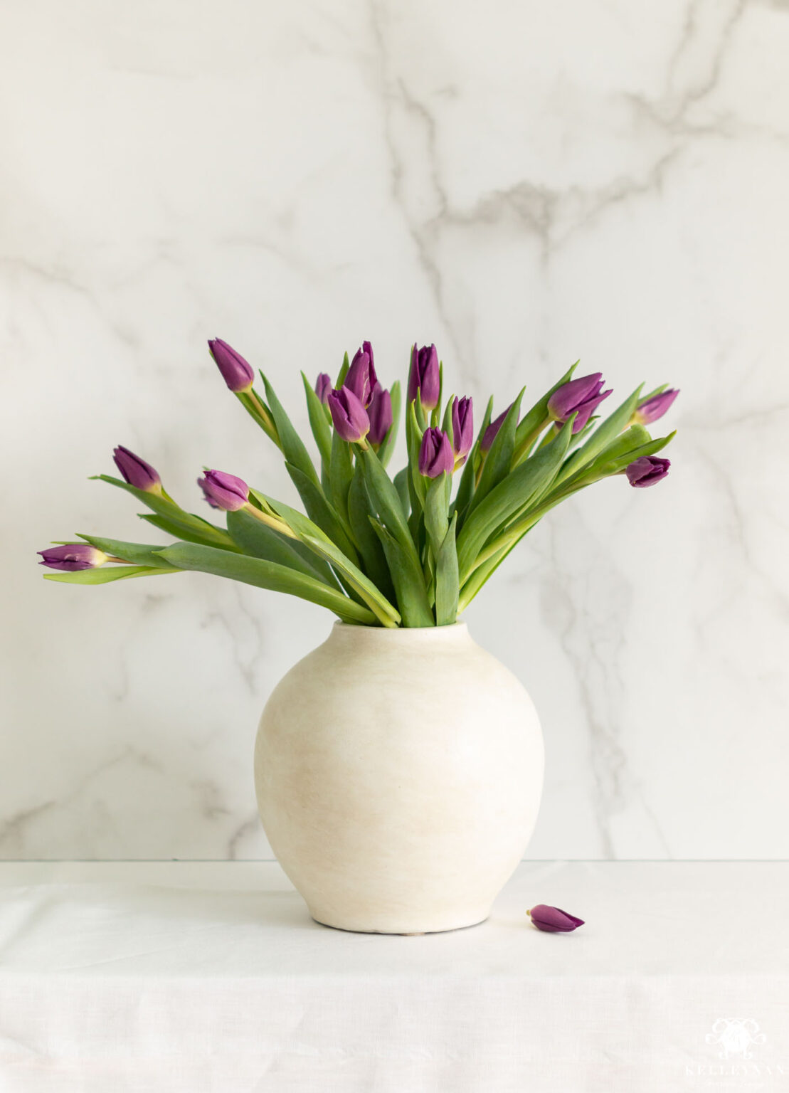 Trader Joe's Flowers & Arrangements from 5 to 50+ Kelley Nan