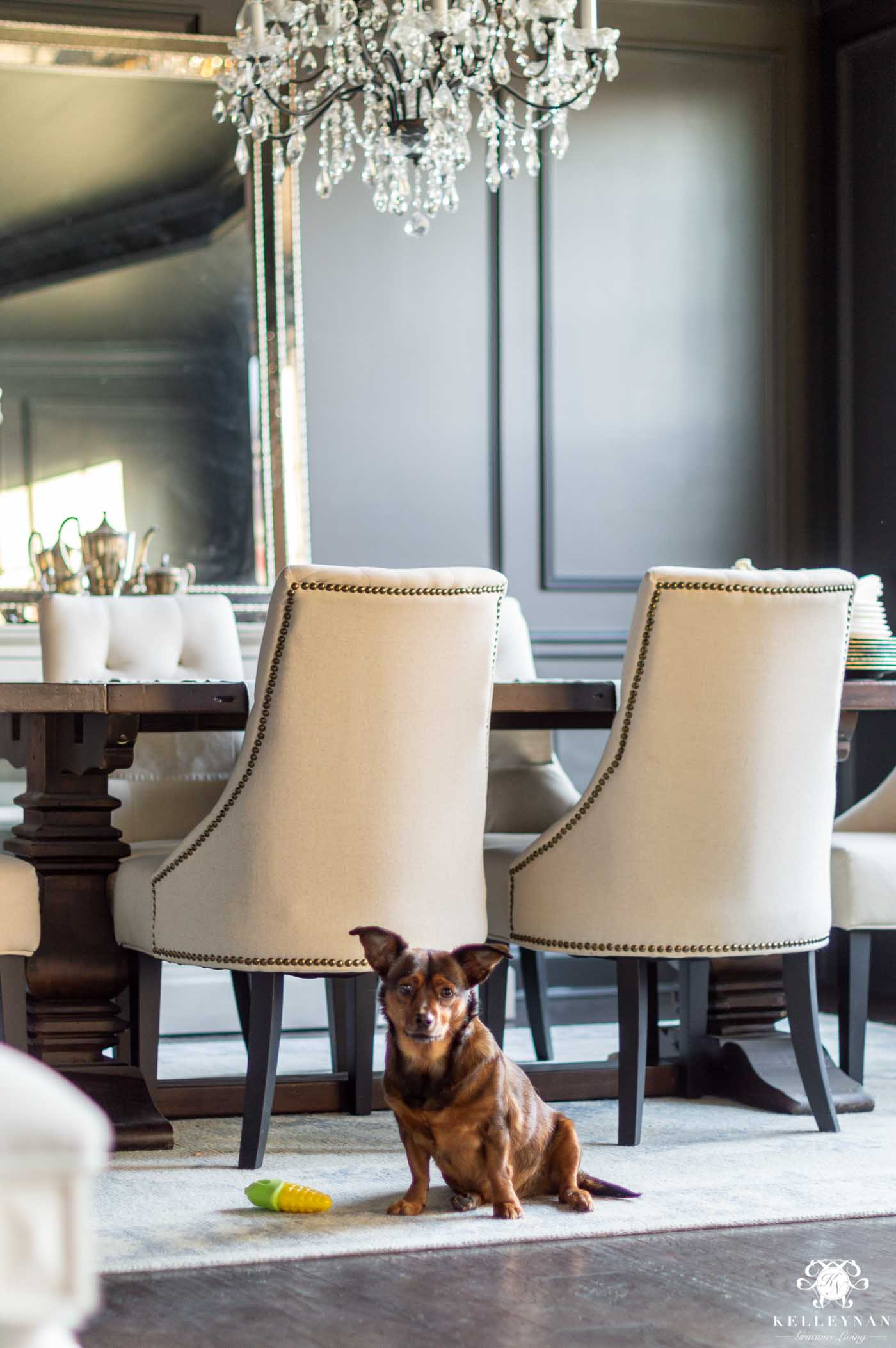 Dining room with Iron Ore by Sherwin Williams Paint