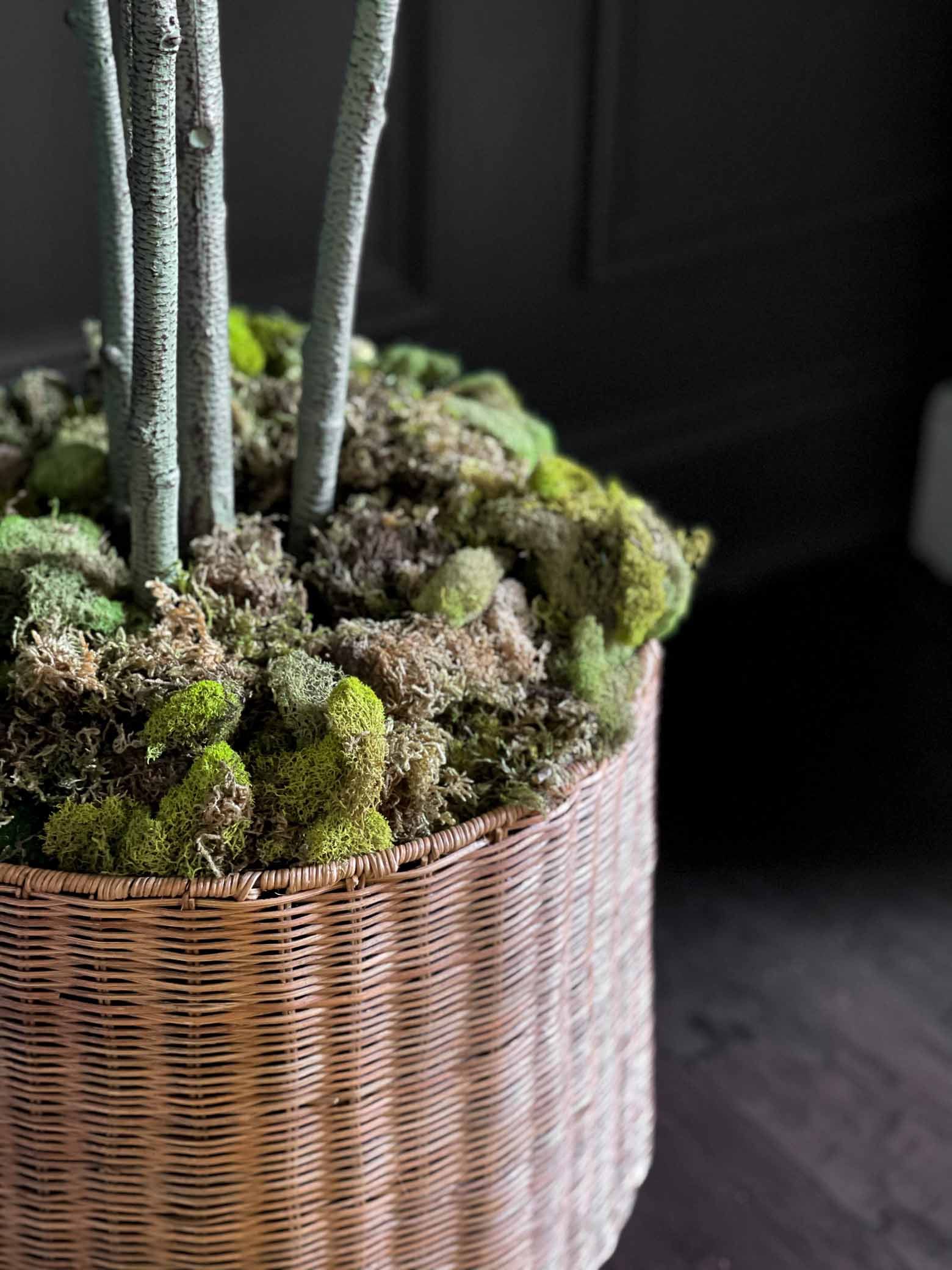 Moss Decor Accents for Spring