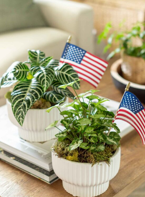 Adorable Patriotic Hostess Gift Ideas for the Fourth of July